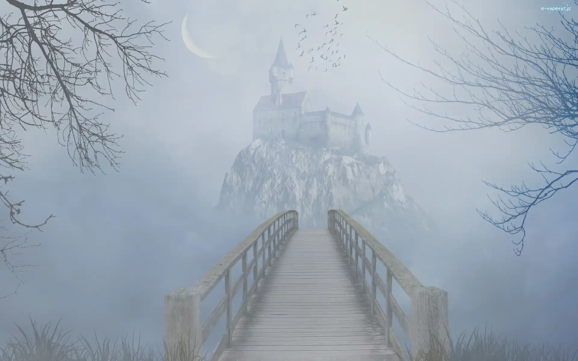 Ptaki, Mgła, Księżyc, Fantasy, Zamek, Most