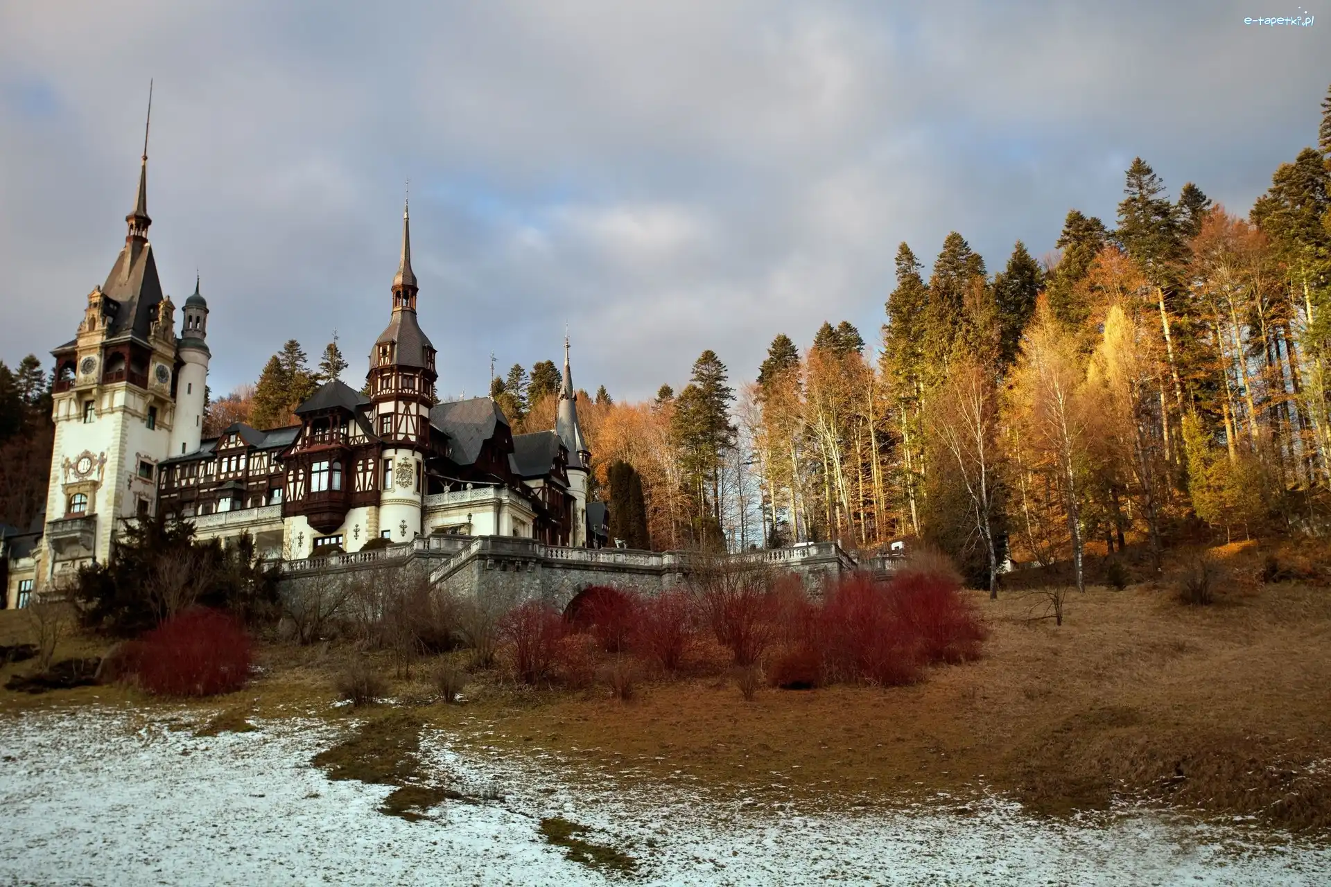 Drzewa, Wzgórze, Zamek