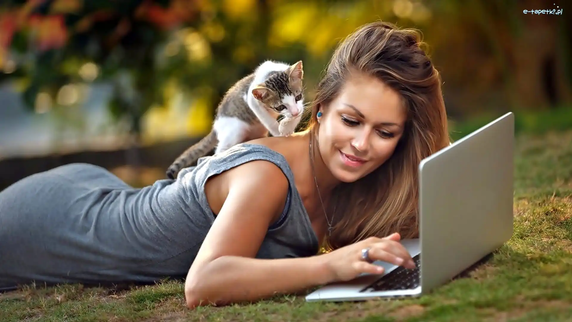 Mały, Laptop, Kotek, Kobieta
