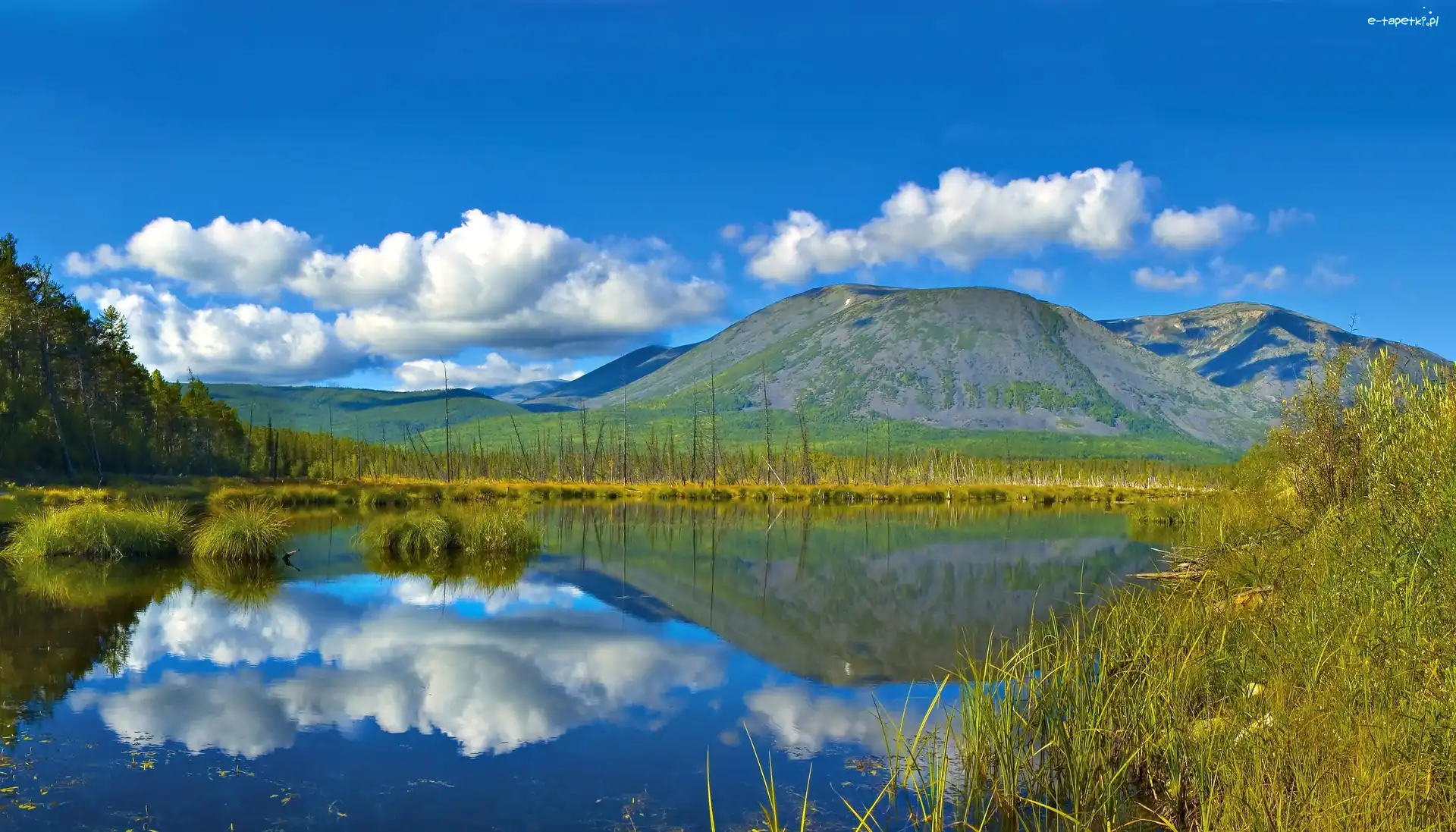 Las, Jezioro, Góry