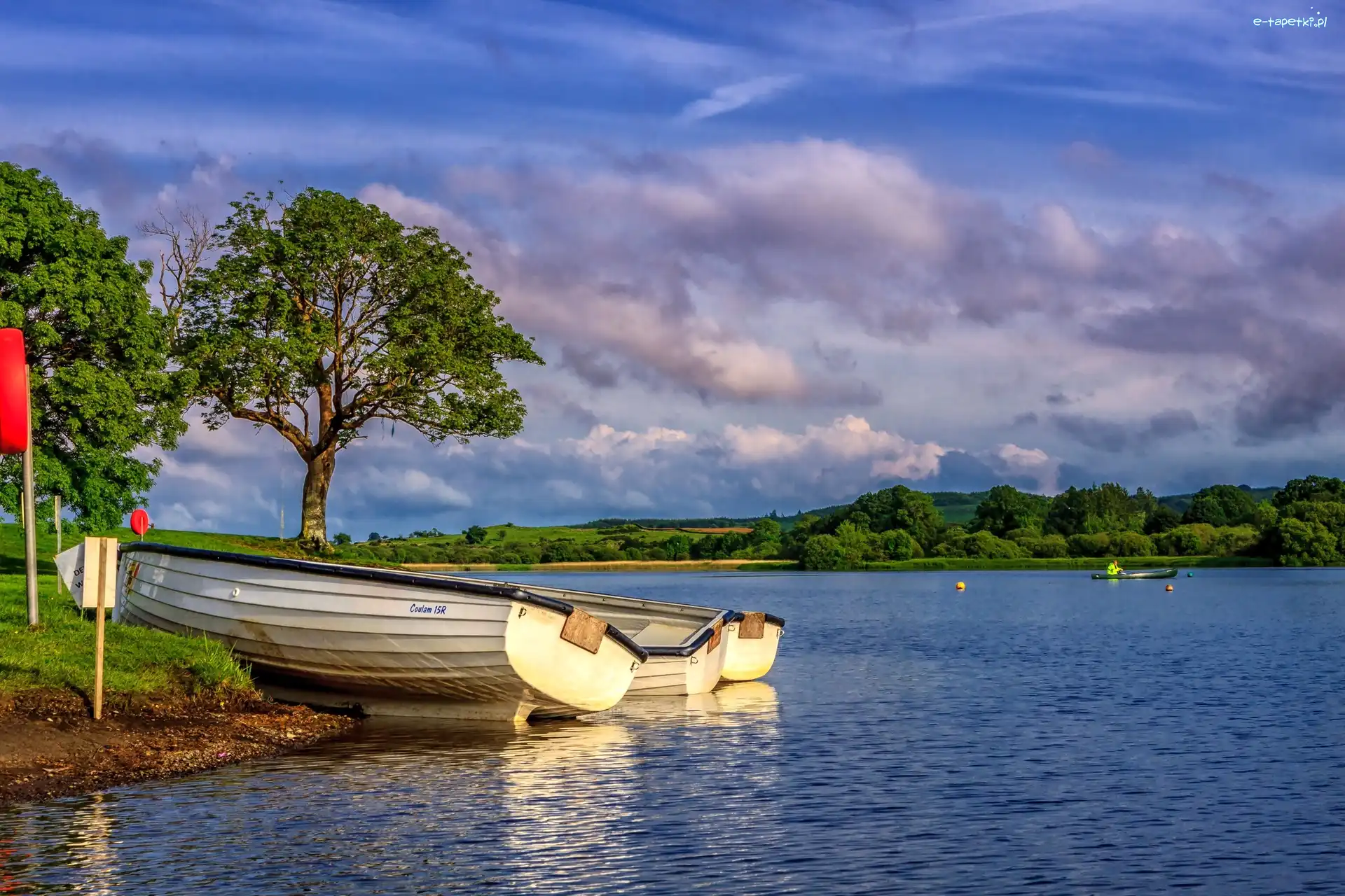 Szkocja, Drzewa, Jezioro Loch Ken, Brzeg, Łódki