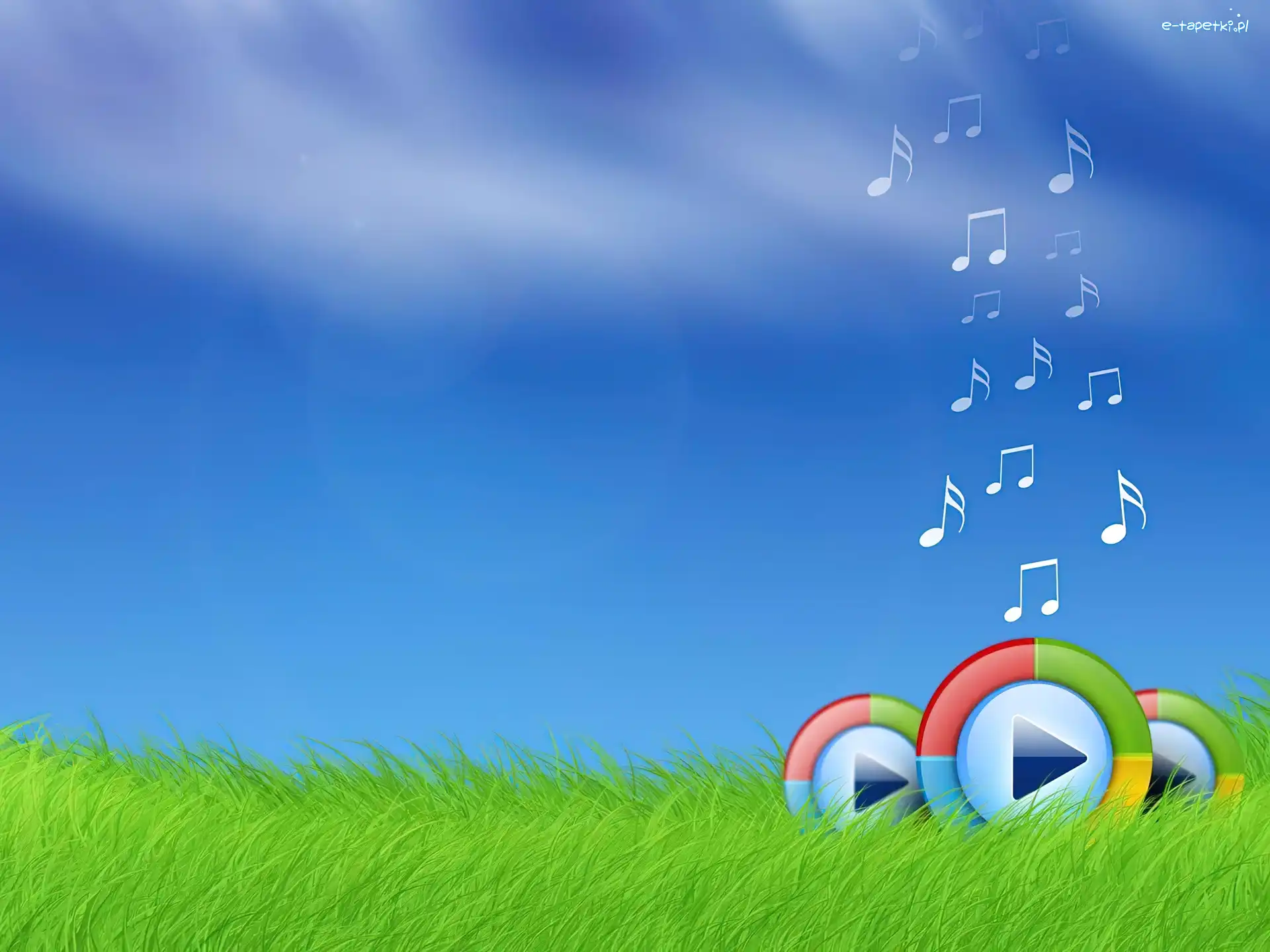 Niebo, Trawa, Windows Media Player