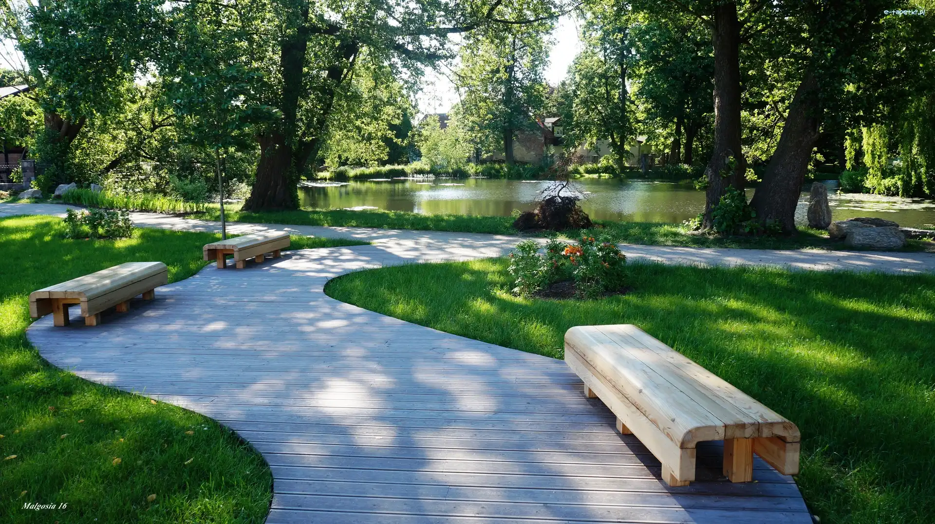 Jeziorko, Ławeczki, Drzewa, Zieleń, Ścieżka, Park