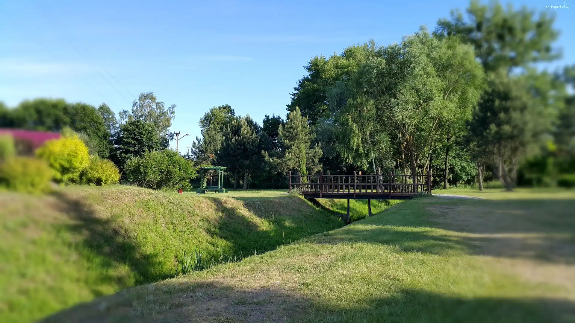 Mostek, Rzeczka, Drzewa, Park