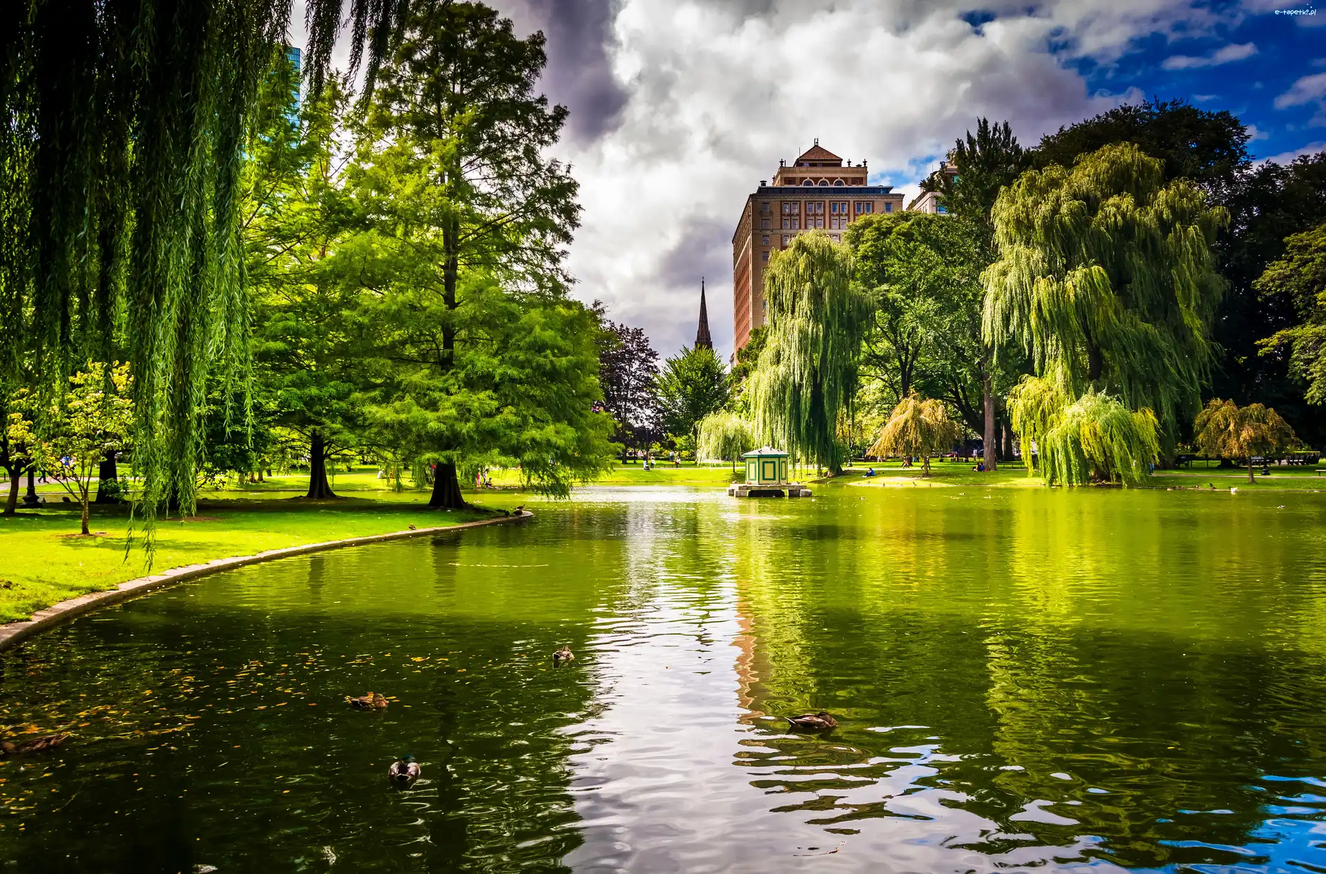 Staw, USA, Boston, Park