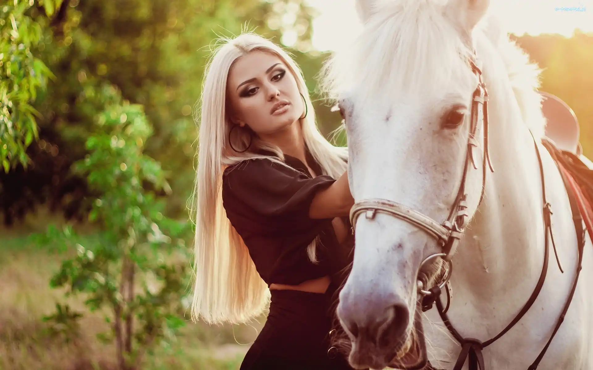 Kobieta, Koń, Blondynka, Las, Droga