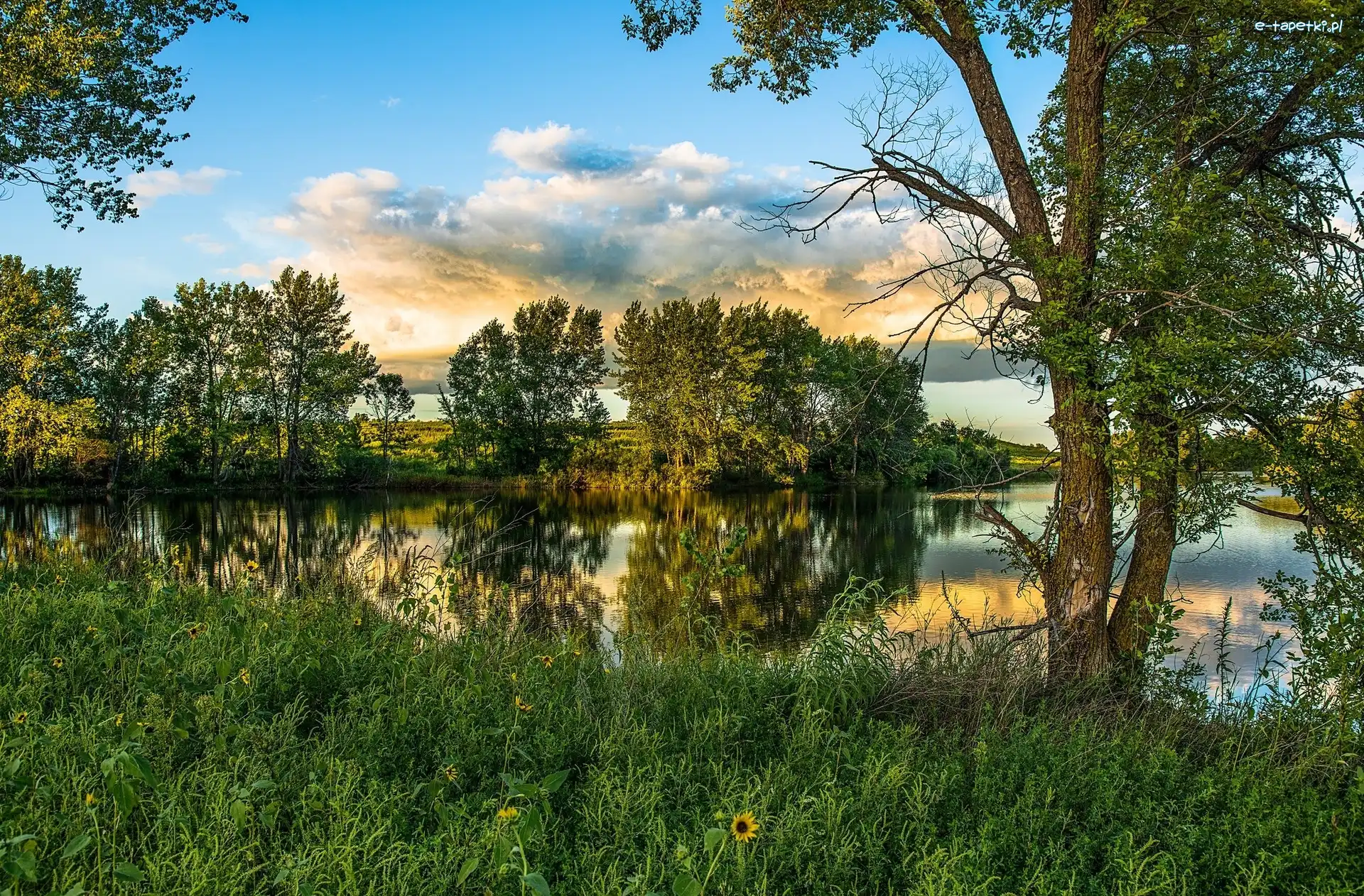 Drzewa, Łąka, Jezioro