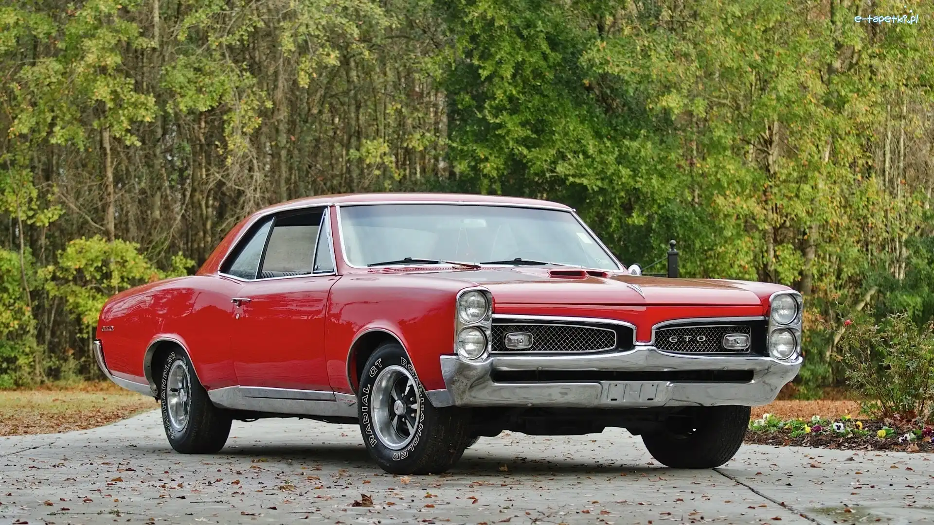 1967, Czerwony, GTO, Zabytek, Samochód, Pontiac