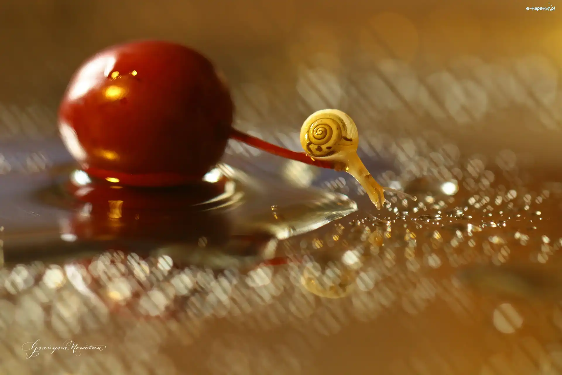 Bokeh, Śliwka, Ślimak