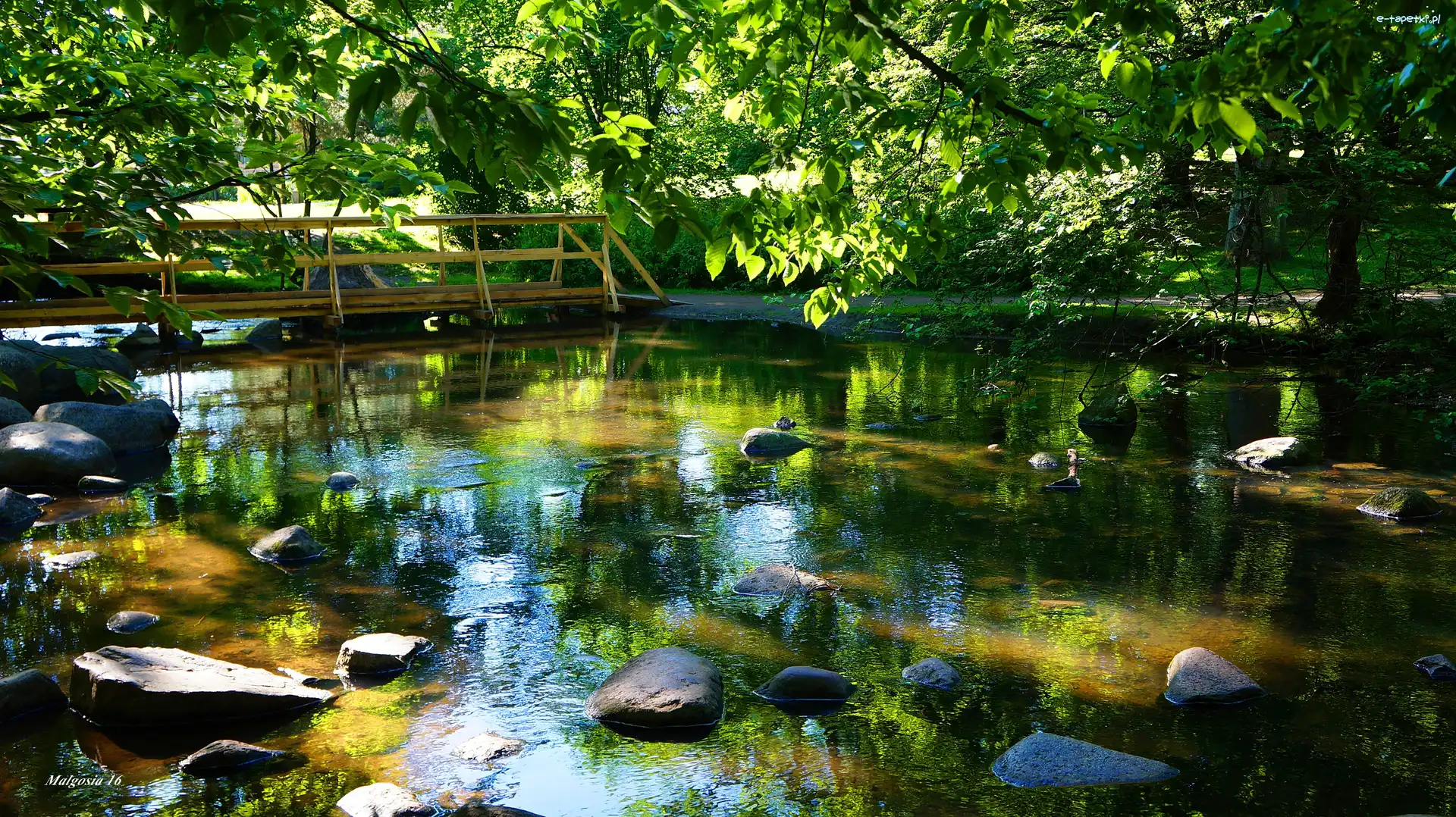 Polska, Park Oliwski im. Adama Mickiewicza, Gdańsk, Strumyk, Mostek