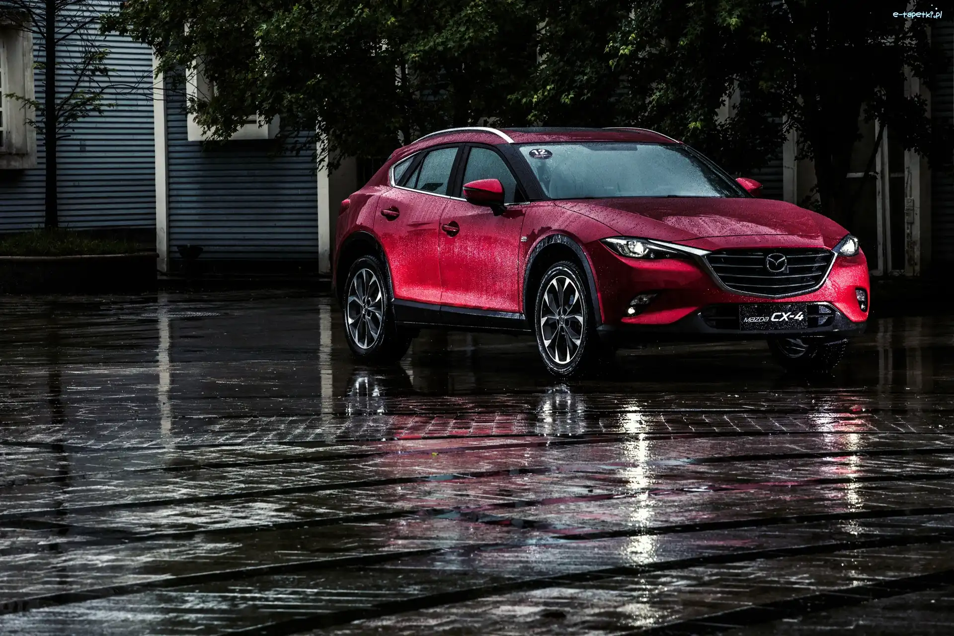 Mazda, Wine, CX-4, Auto