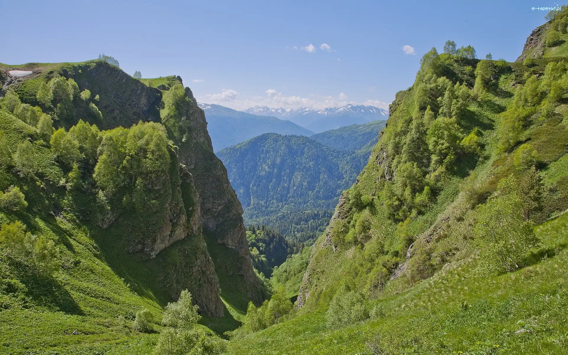 Góry, Zielone