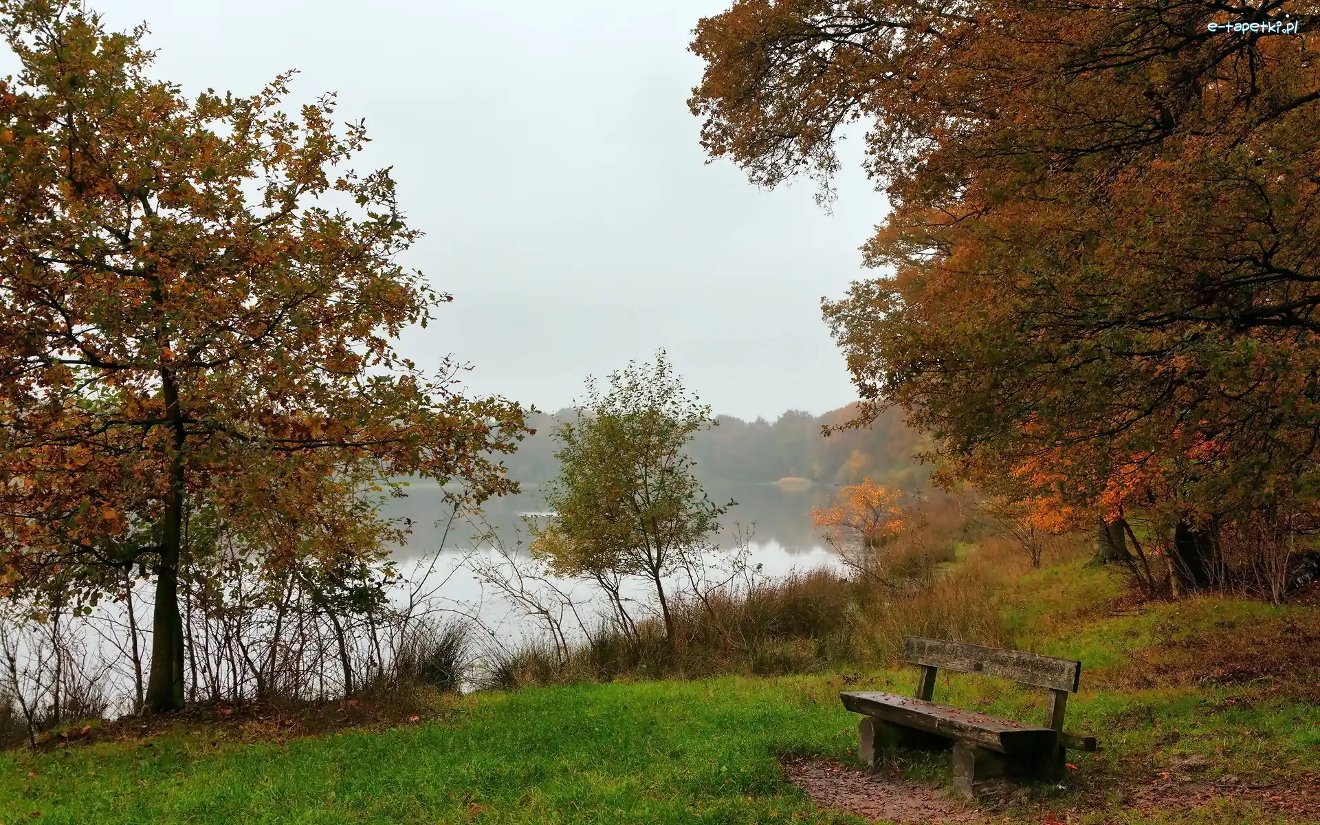 Rzeka, Ławeczka, Mgła, Park