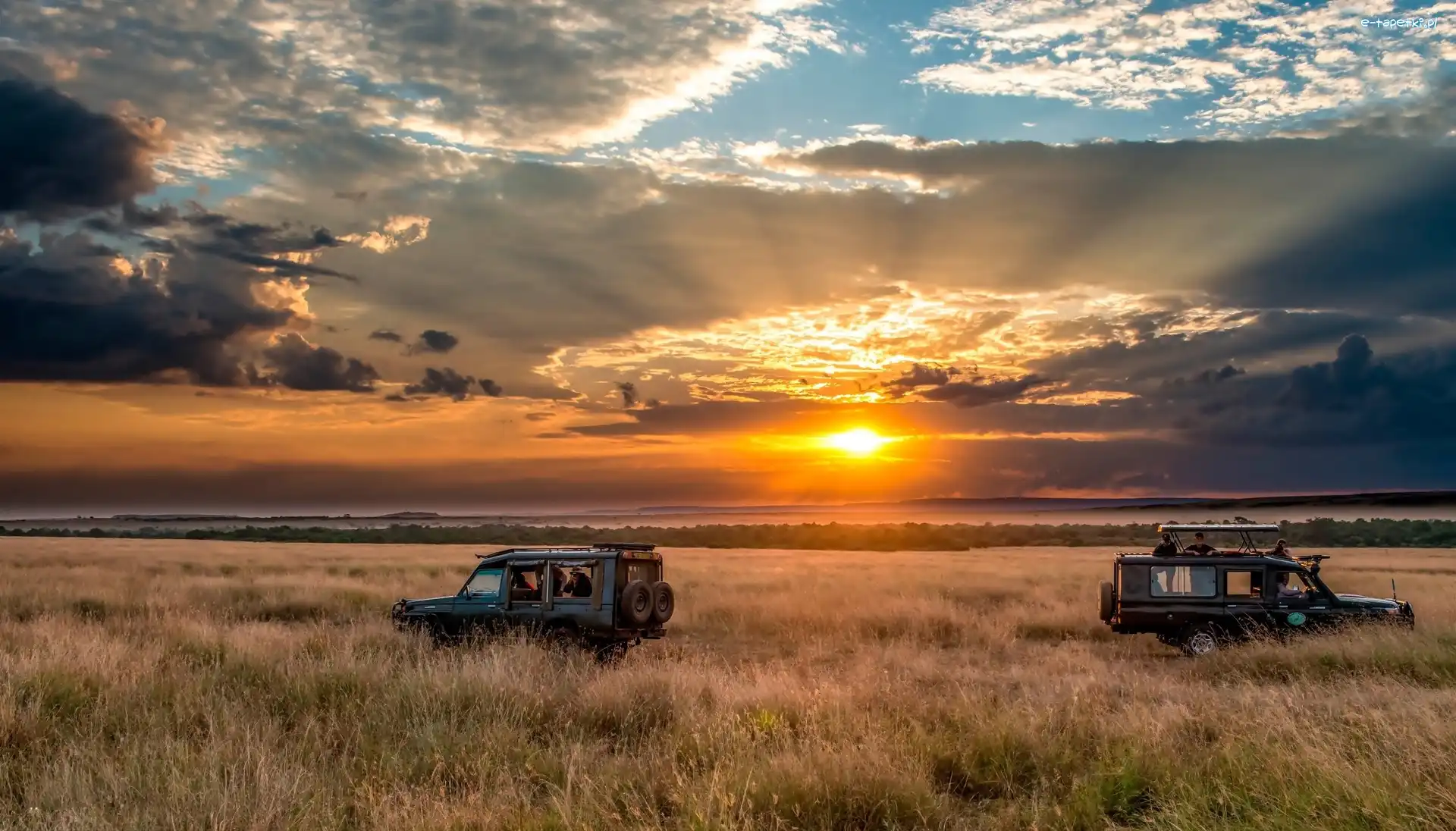 Pole, Safari, Afryka, Samochody, Zachód słońca