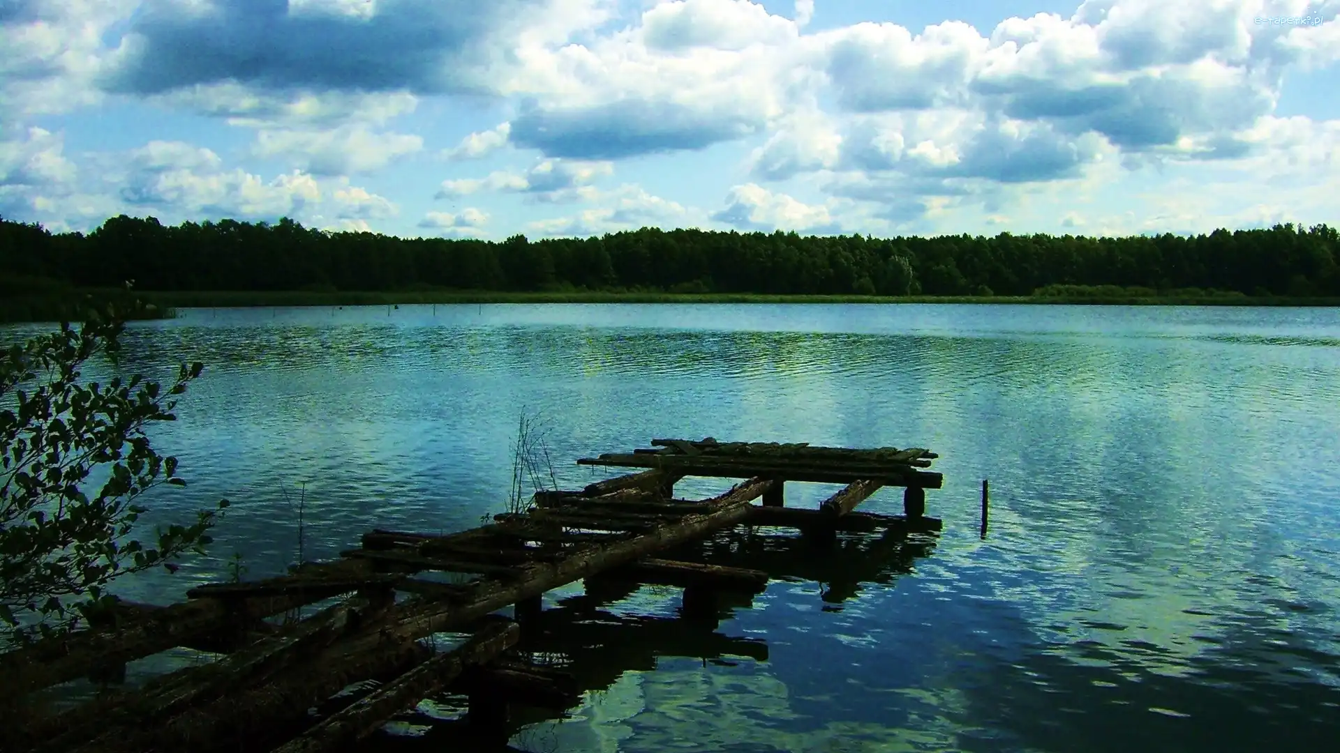 Pomost, Jezioro, Las