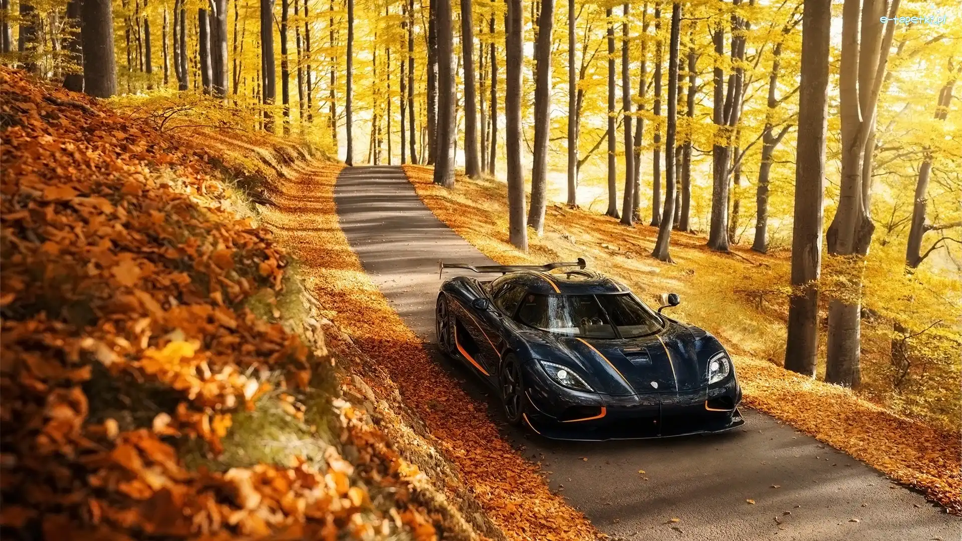 Koenigsegg, Drzewa, Droga, Agera, Las, Jesień