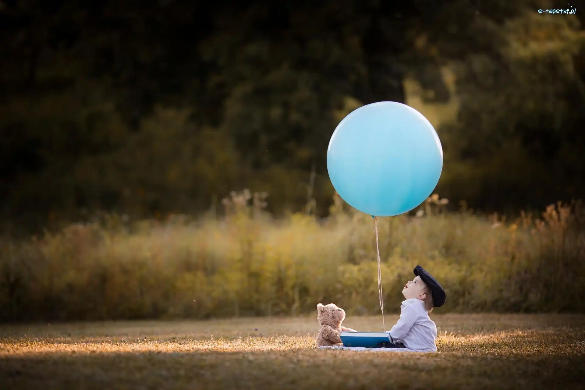 Balon, Las, Łąka, Chłopiec