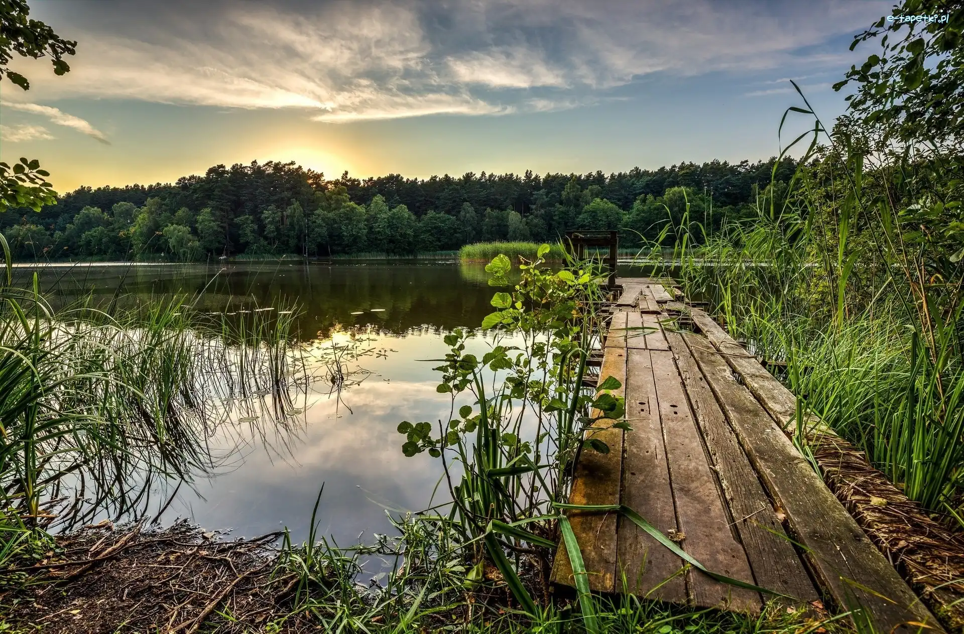 Pomost, Trawy, Jezioro