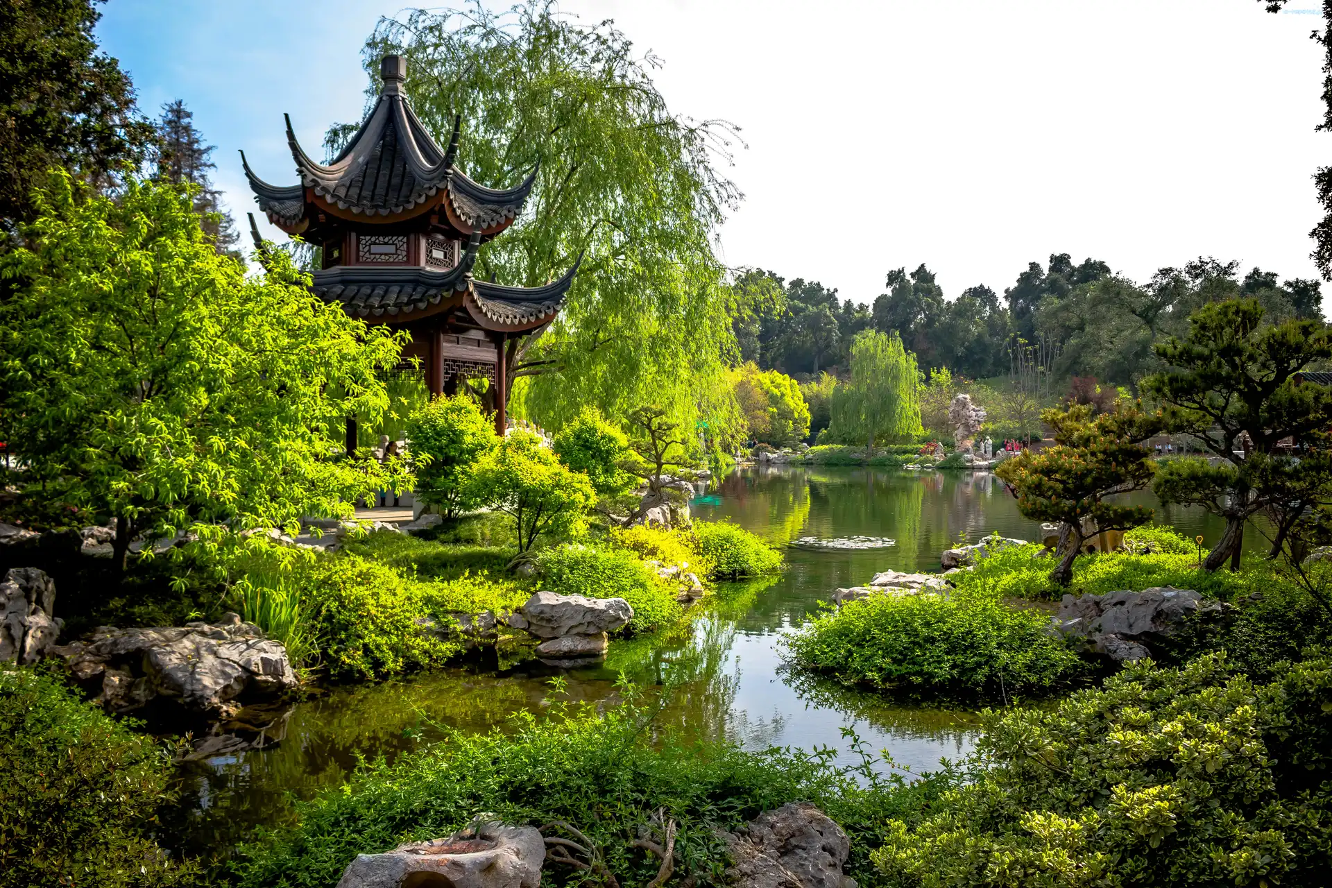 Japonia, Staw, Ogród