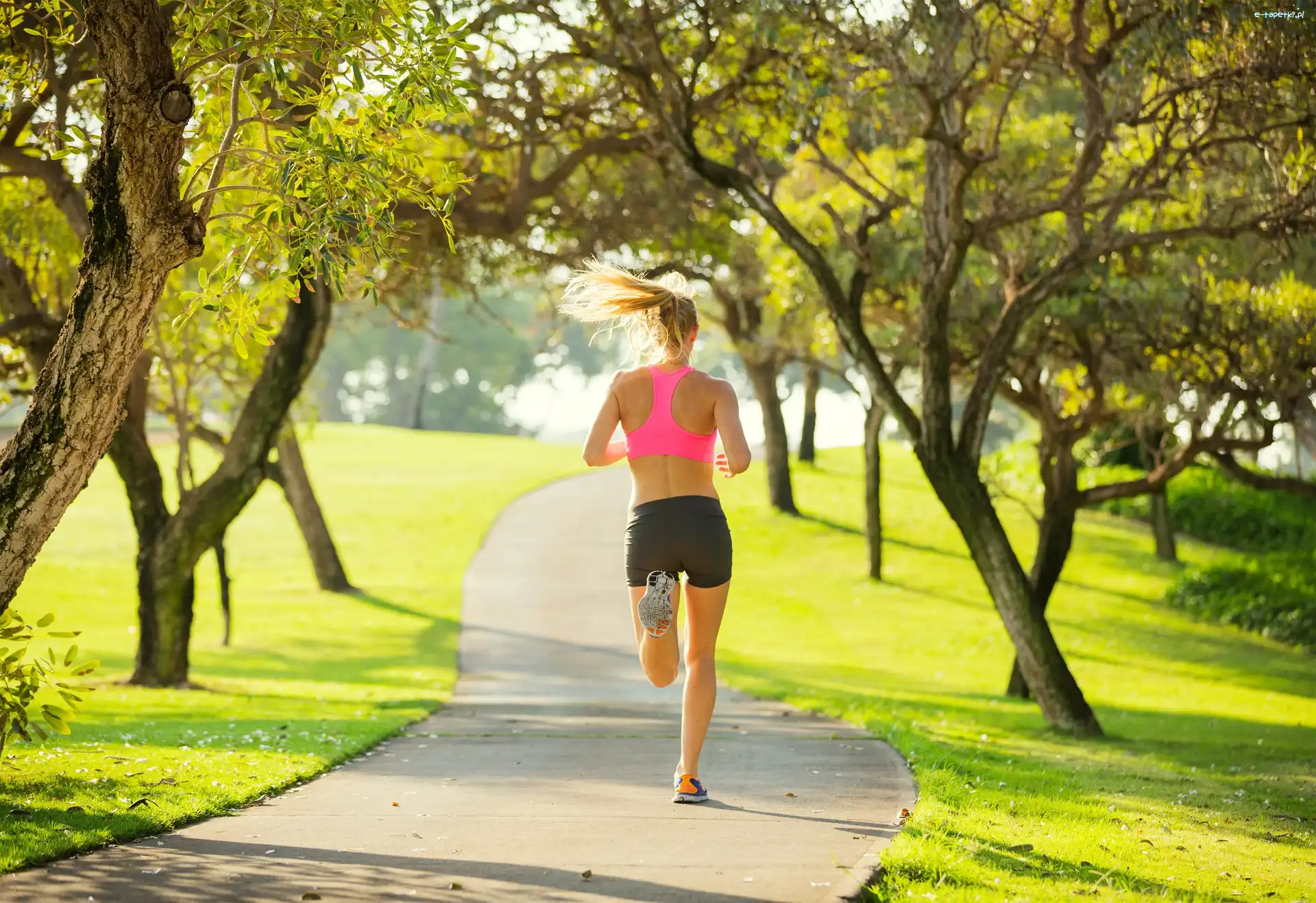 Park, Drzewa, Aleja, Jogging, Kobieta
