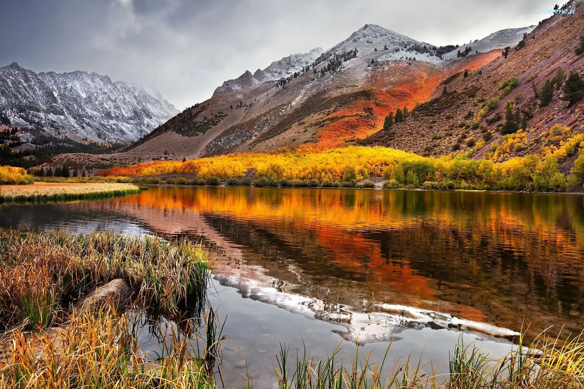 Górskie, Drzewa, USA, Kalifornia, Pasmo, Sierra, Nevada, Jezioro