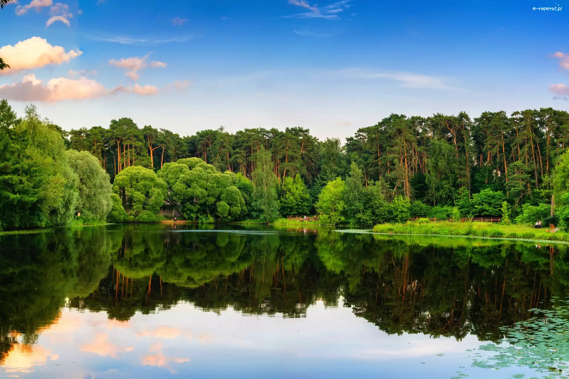 Las, Jezioro