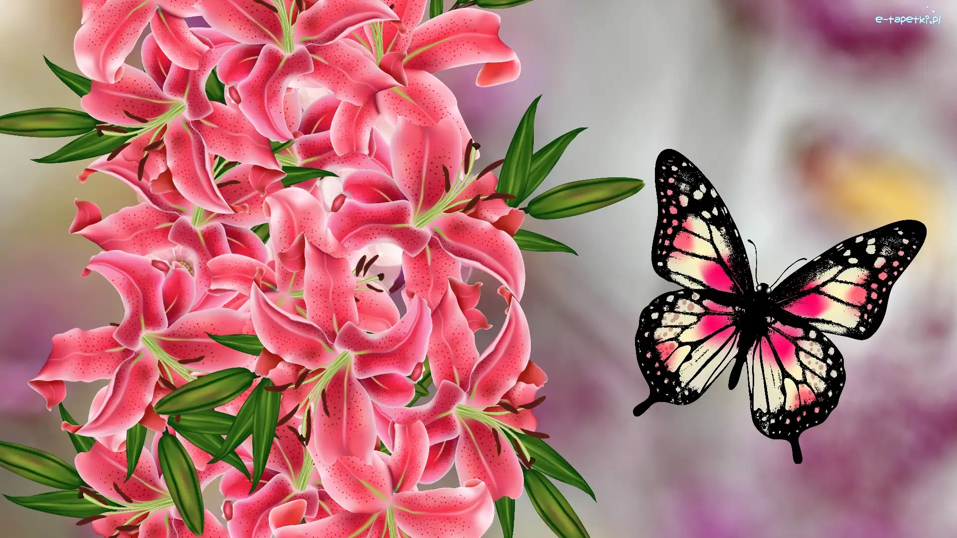 Grafika, Motyl, Kwiaty