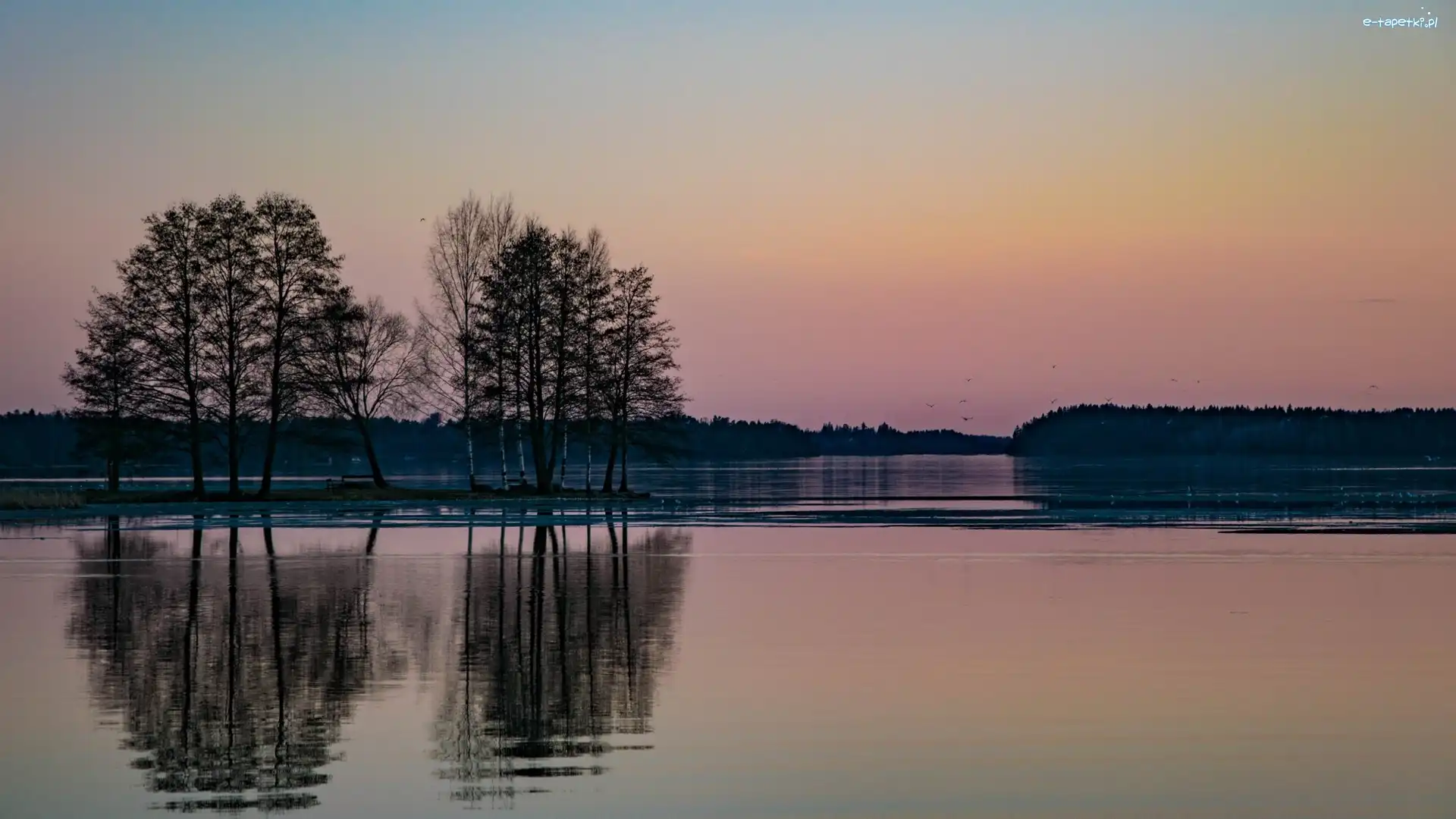 Lustrzane, Jezioro, Las, Odbicie, Słońca, Wschód