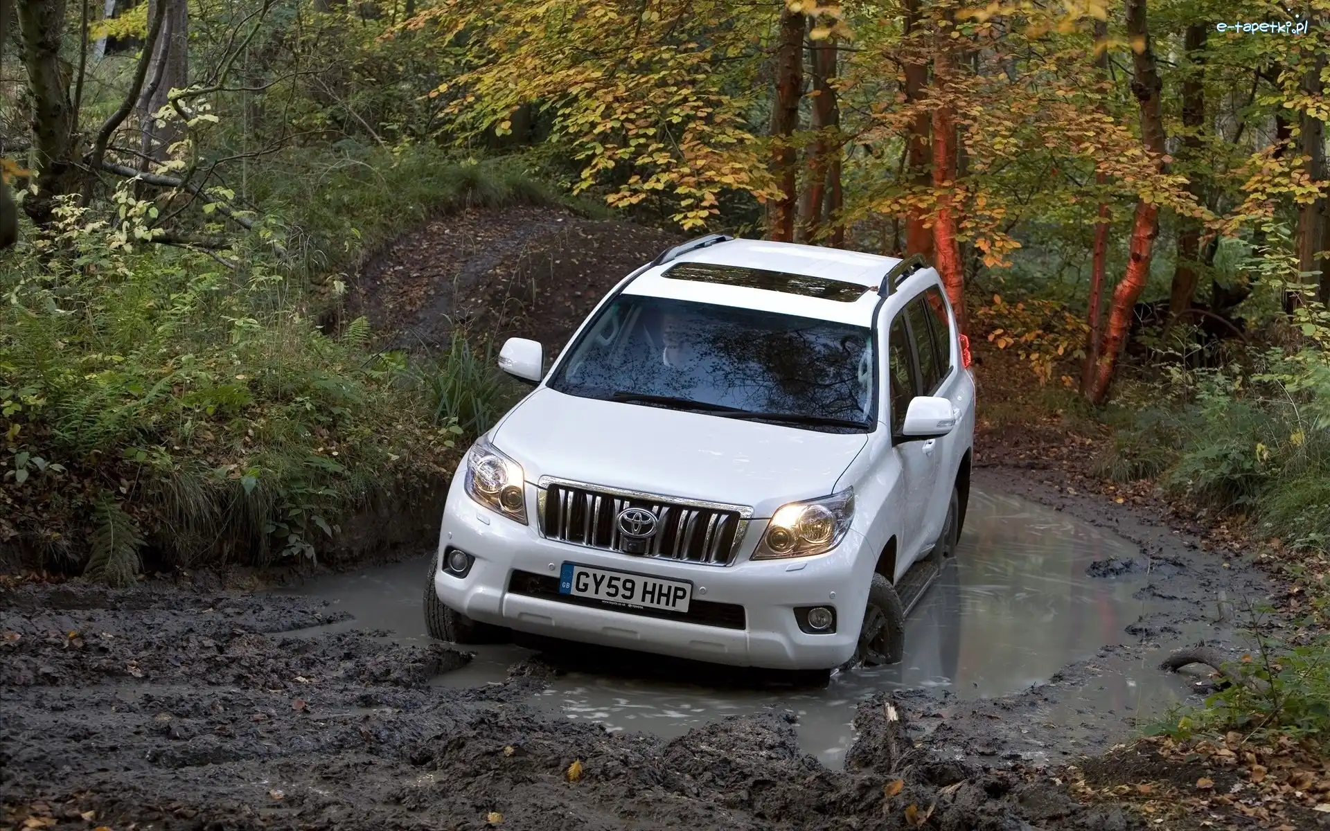 Land Cruiser, Samochód, Toyota