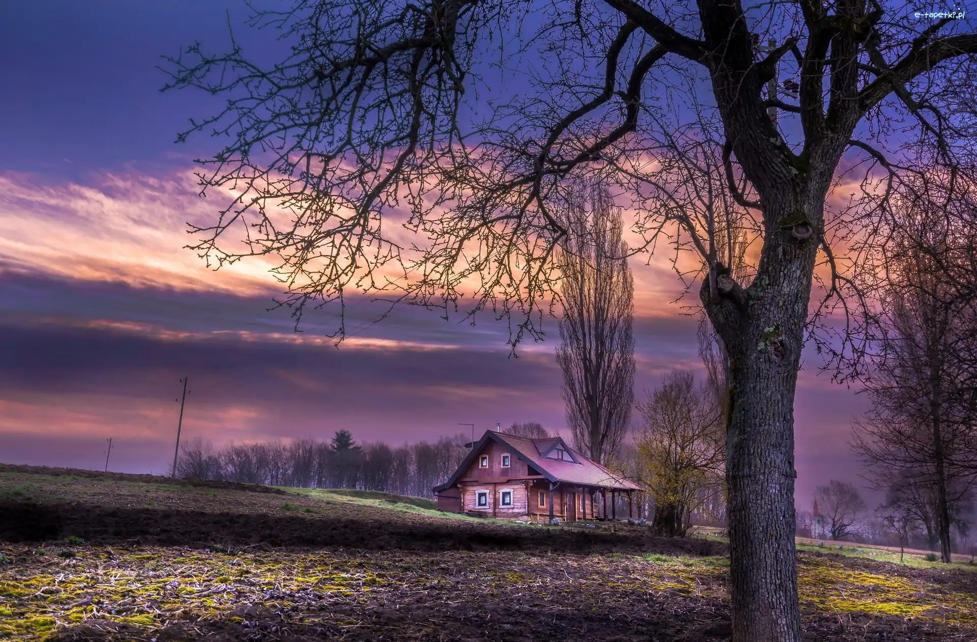 Słońca, Pola, Zachód, Jesień, Drzewa, Dom