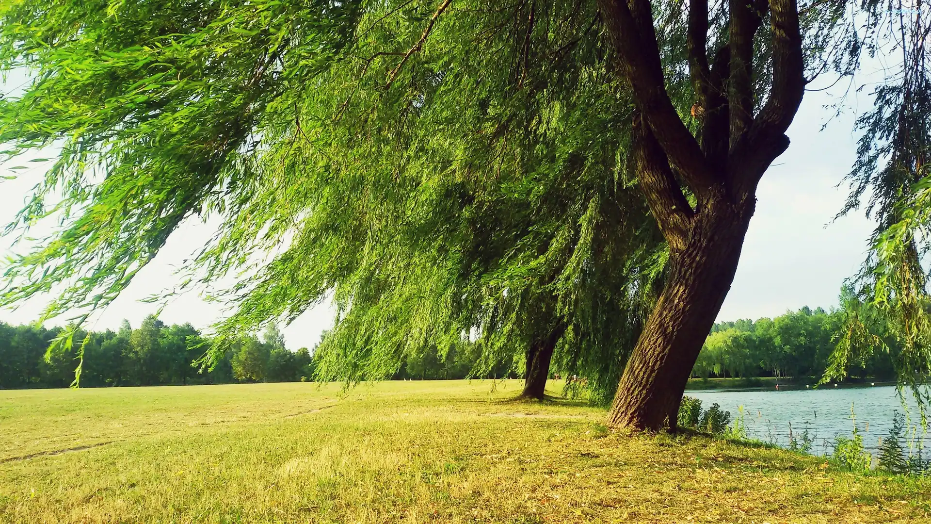 Łąka, Rzeka