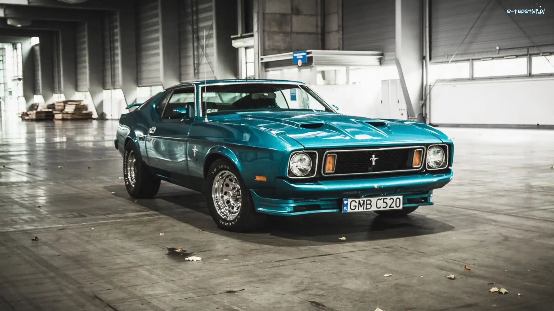 1973, Ford, Mustang