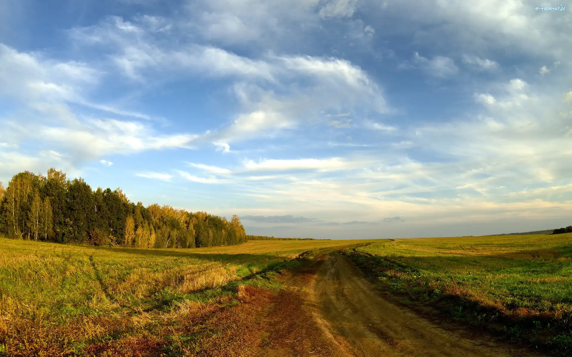 Pole, Drzewa, Dróżka, Niebo, Trawa
