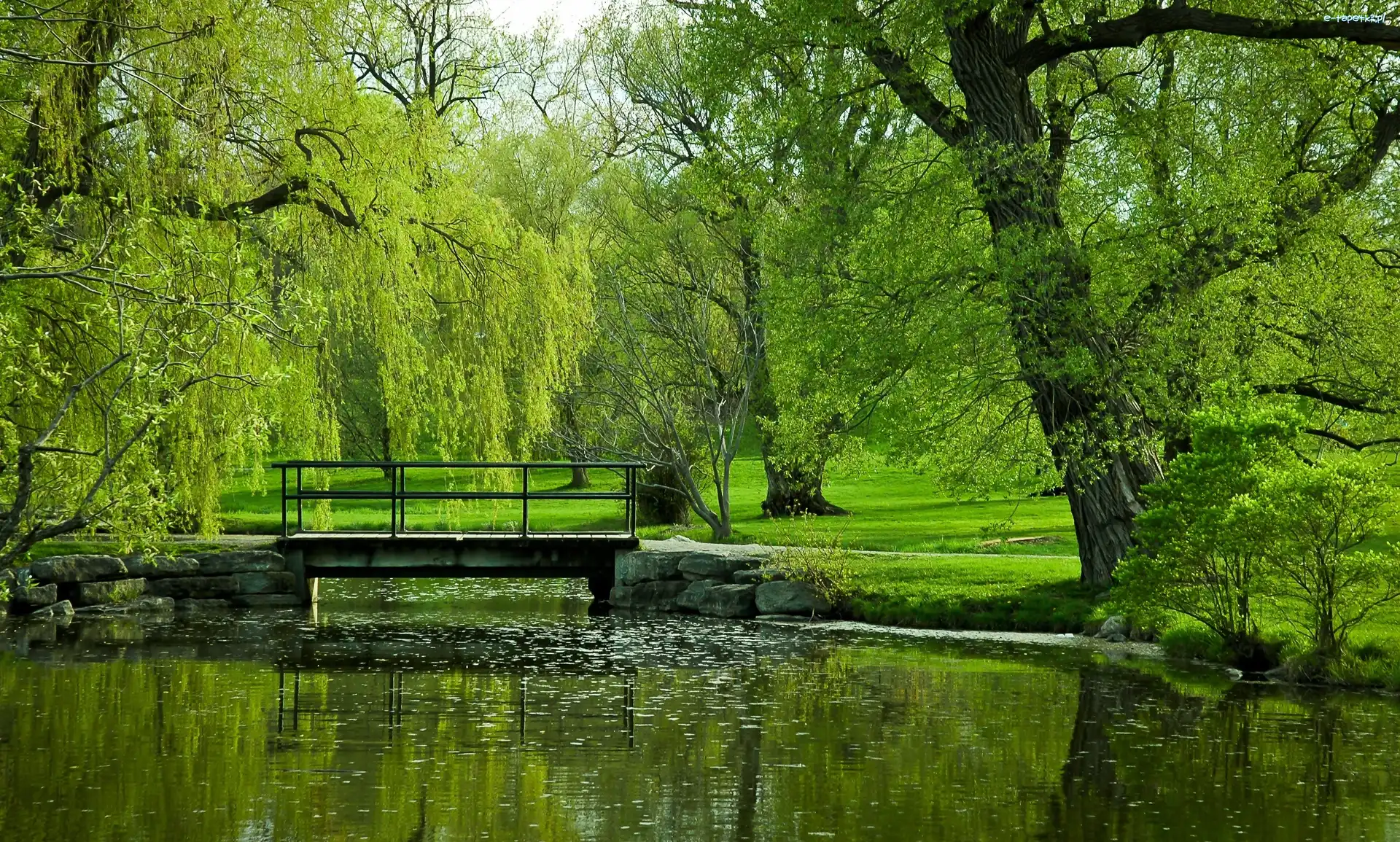 Most, Rzeka, Drzewa, Lato, Park, Zielony
