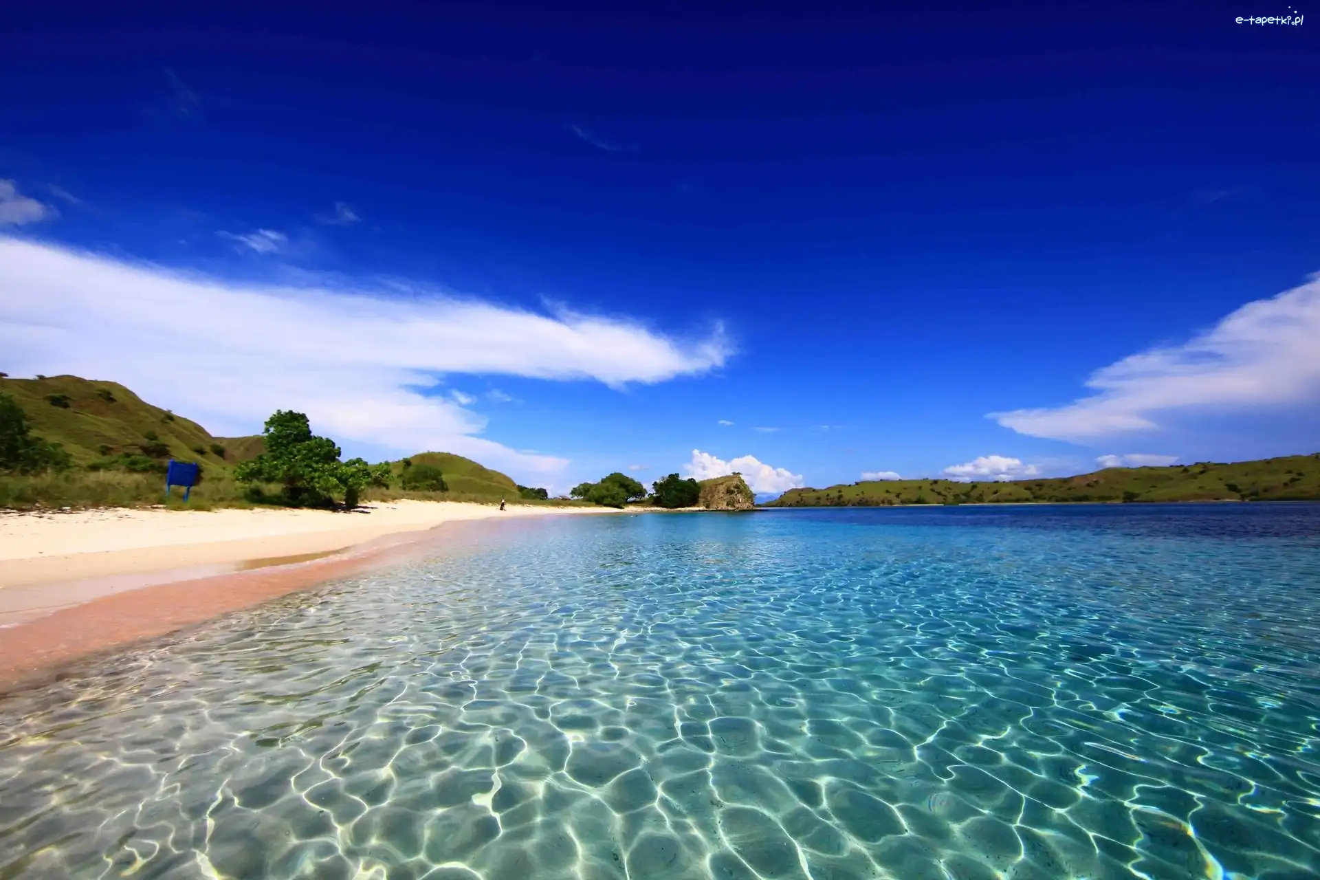 Wzgórza, Morze, Plaża, Drzewa, Komodo, Wyspa