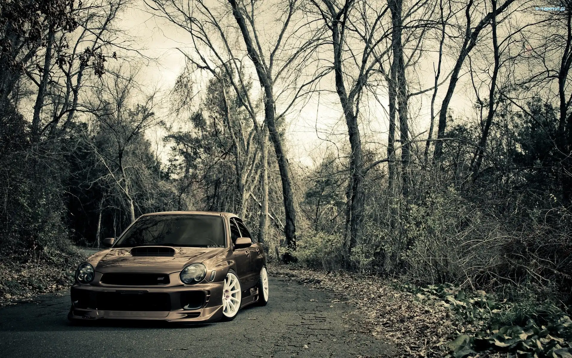 Subaru Impreza, Drzewa, Droga, Samochód
