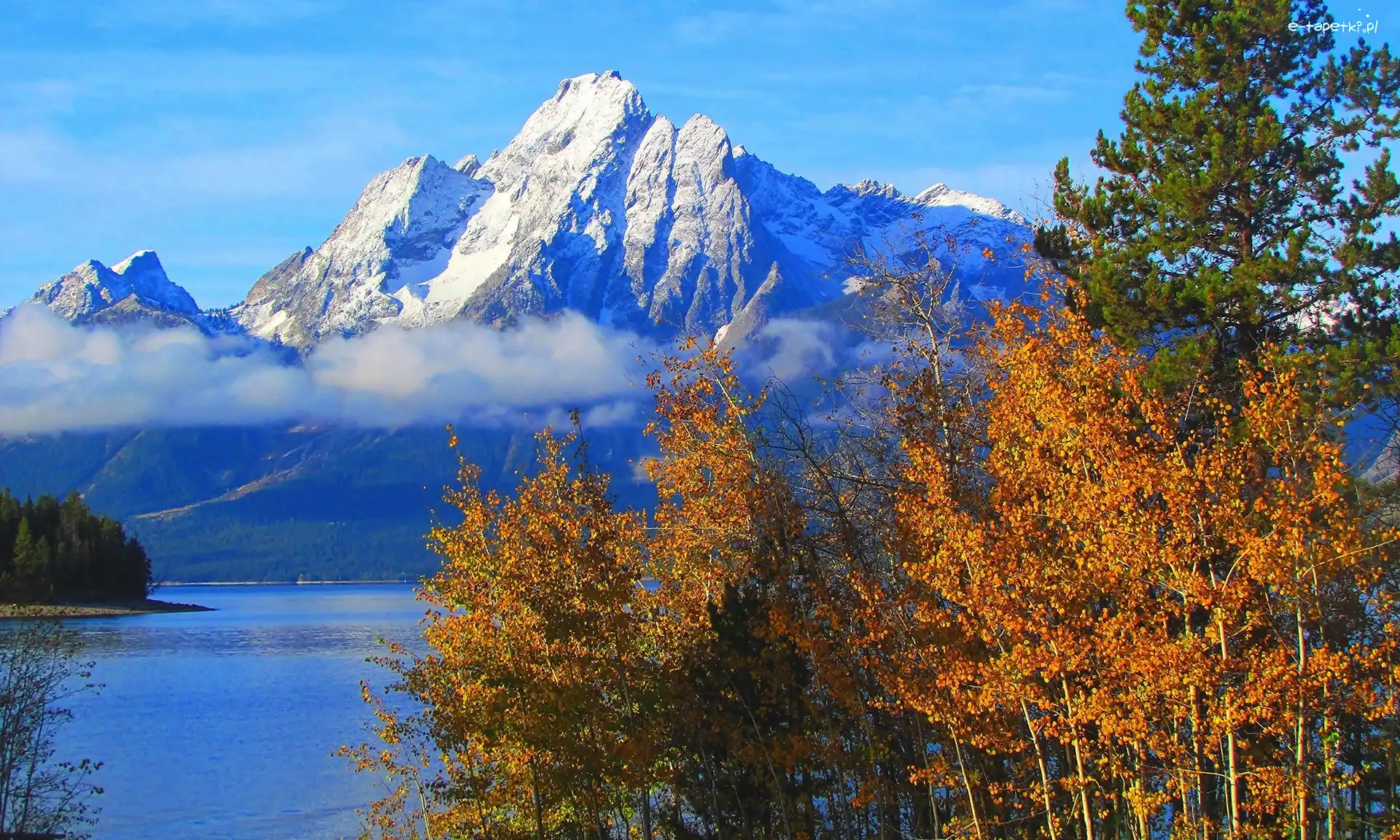 Jezioro Jackson Lake, Park Narodowy Grand Teton, Góry, Stan Wyoming, Stany Zjednoczone, Drzewa, Szczyt Mount Moran