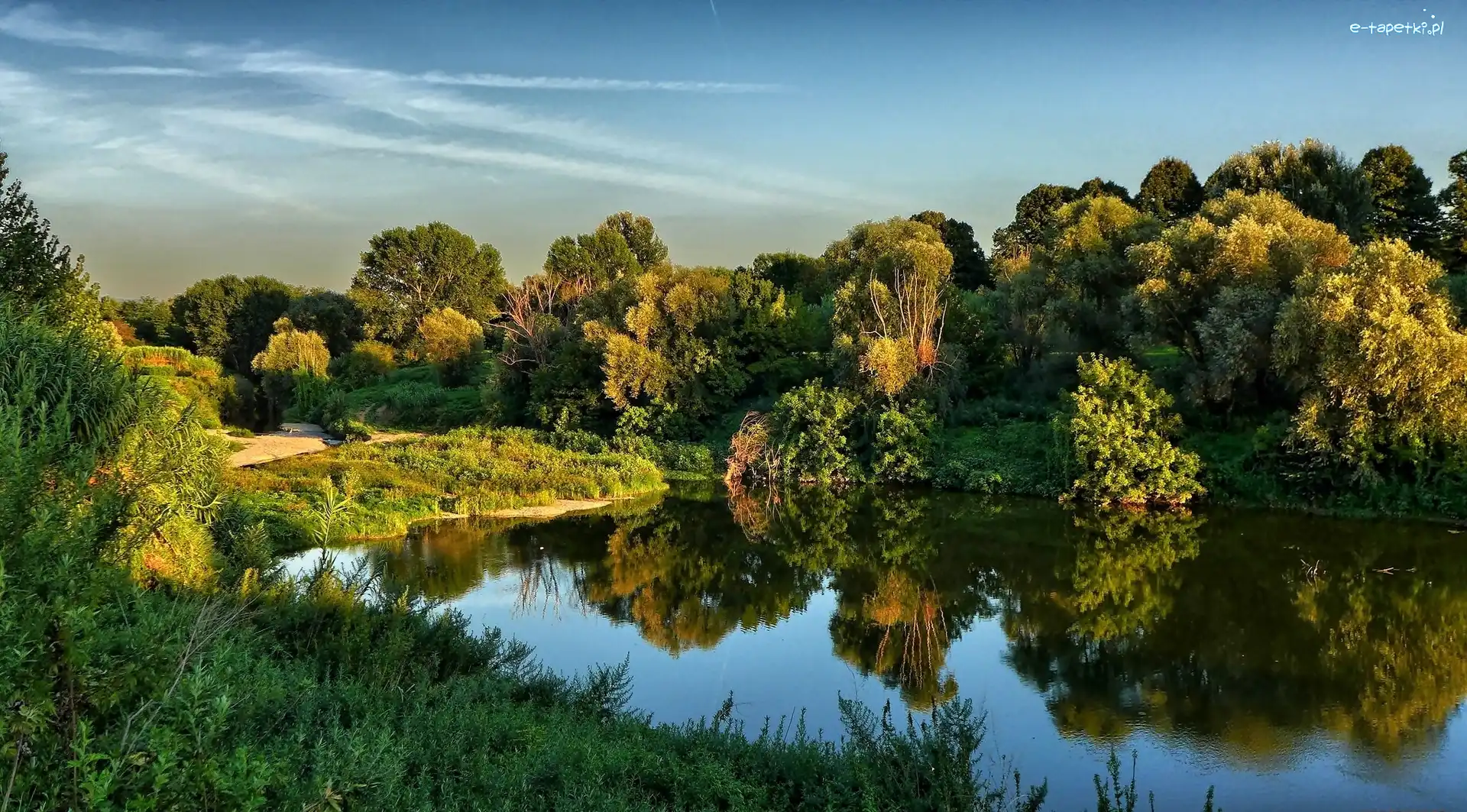 Odbicie, Drzewa, Jezioro