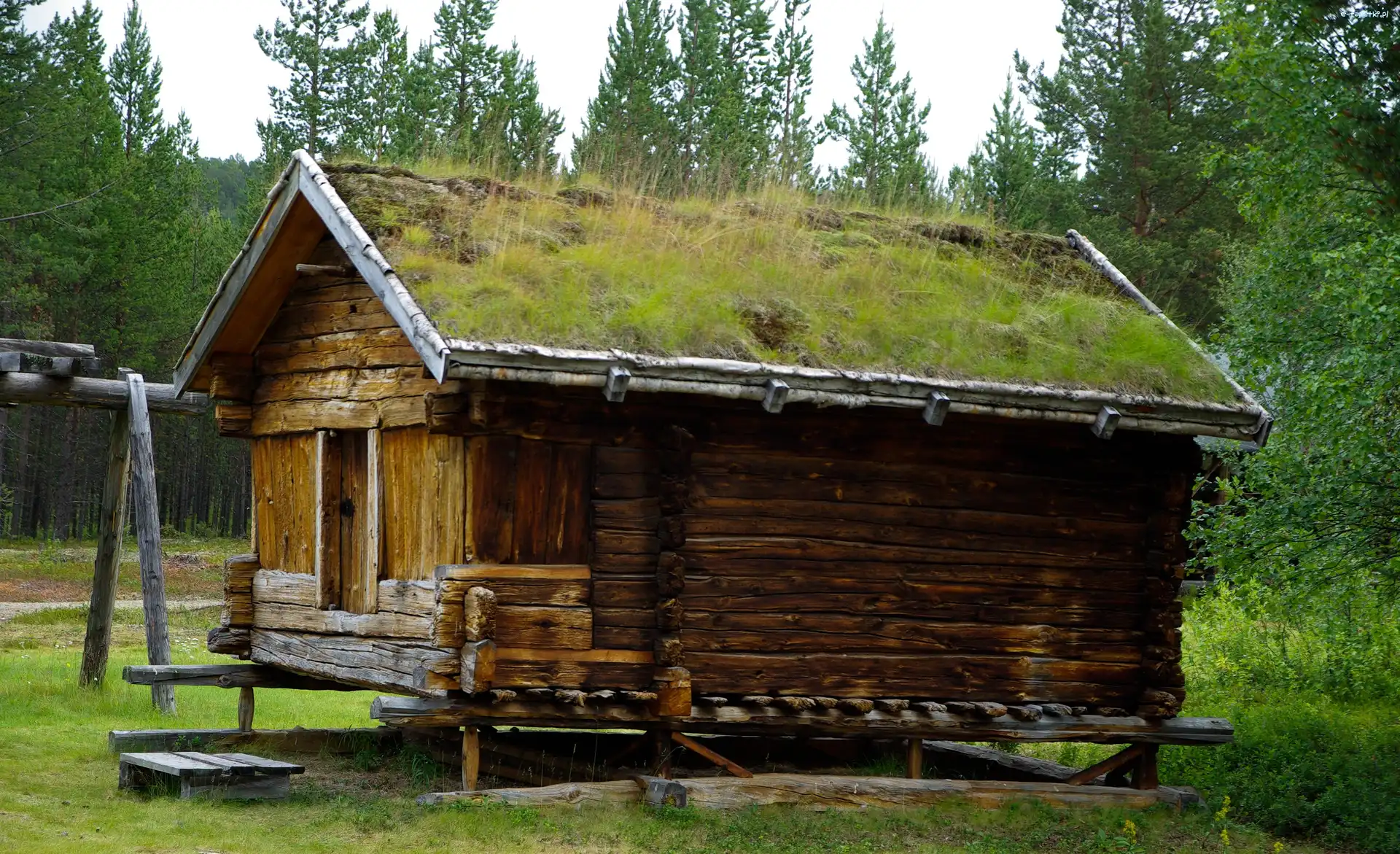 Finlandia, Dom, Drewniany, Trawa, Dach