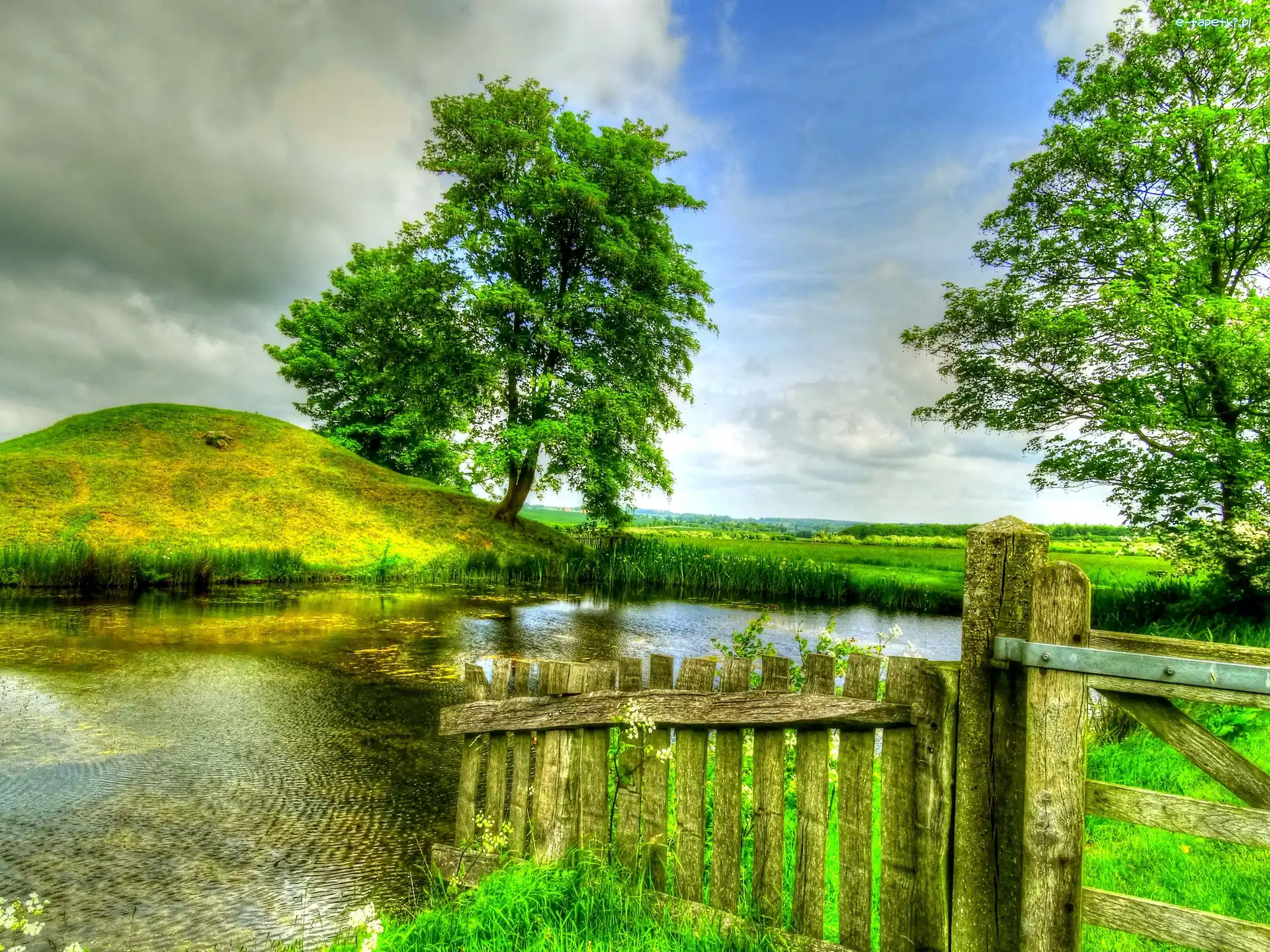 Pole, Wzgórek, Płotek, HDR, Drzewa, Jeziorko