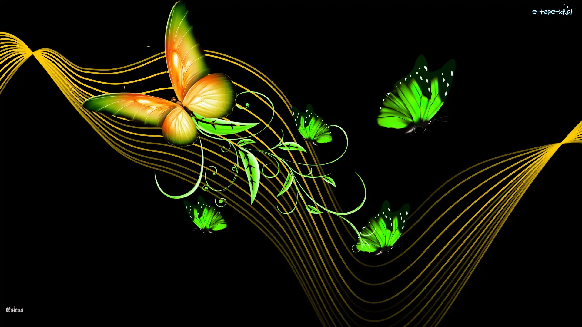 Ornamenty, Abstrakcja, Grafika, Motyle