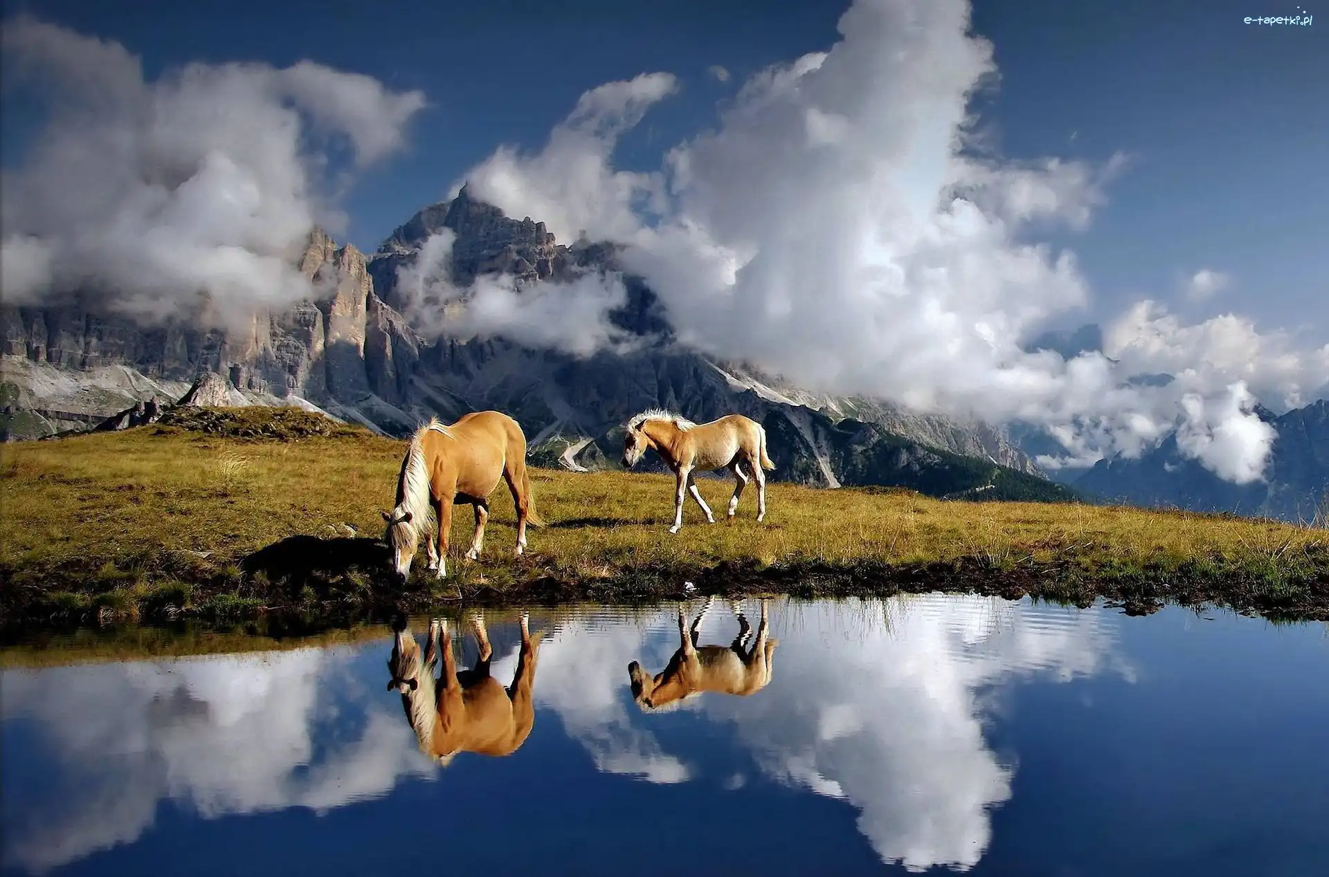 Dolomity, WŁochy, Alpy, Konie, Góry