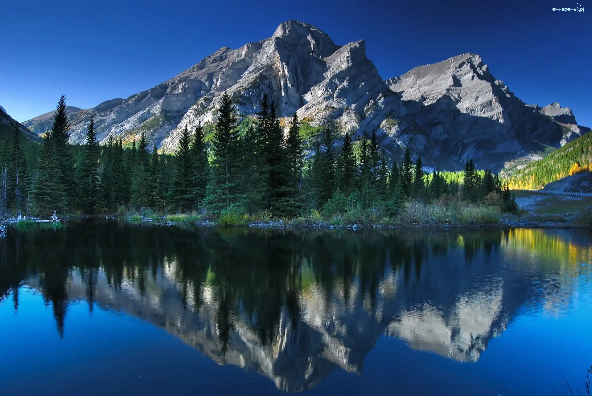 Prowncja Alberta, Drzewa, Lasy, Kanada, Góra Kidd RV Park, Jezioro