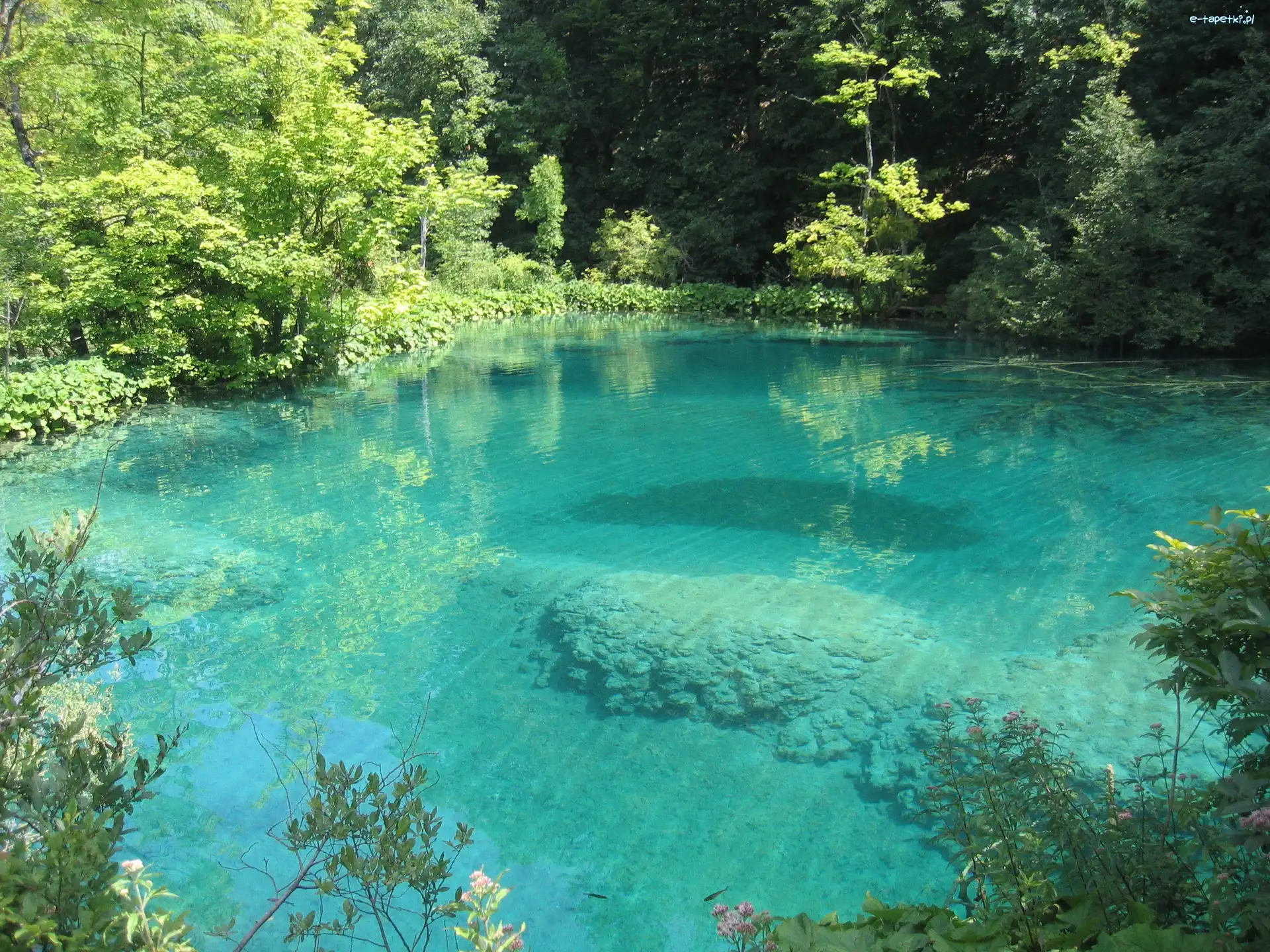 Jeziora Plitwickie, Park Narodowy w Chorwacji