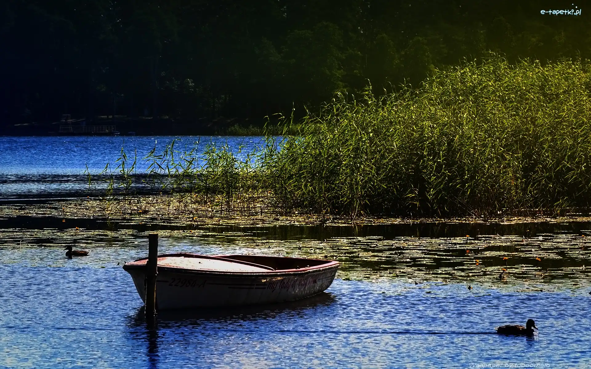 Mazury, Gołdopiwo, Jezioro
