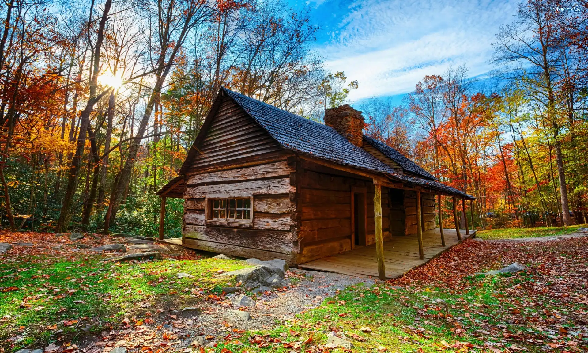 Jesień, Drzewa, Dom, Park Narodowy Great Smoky Mountains, Stany Zjednoczone, Liście, Promienie słońca