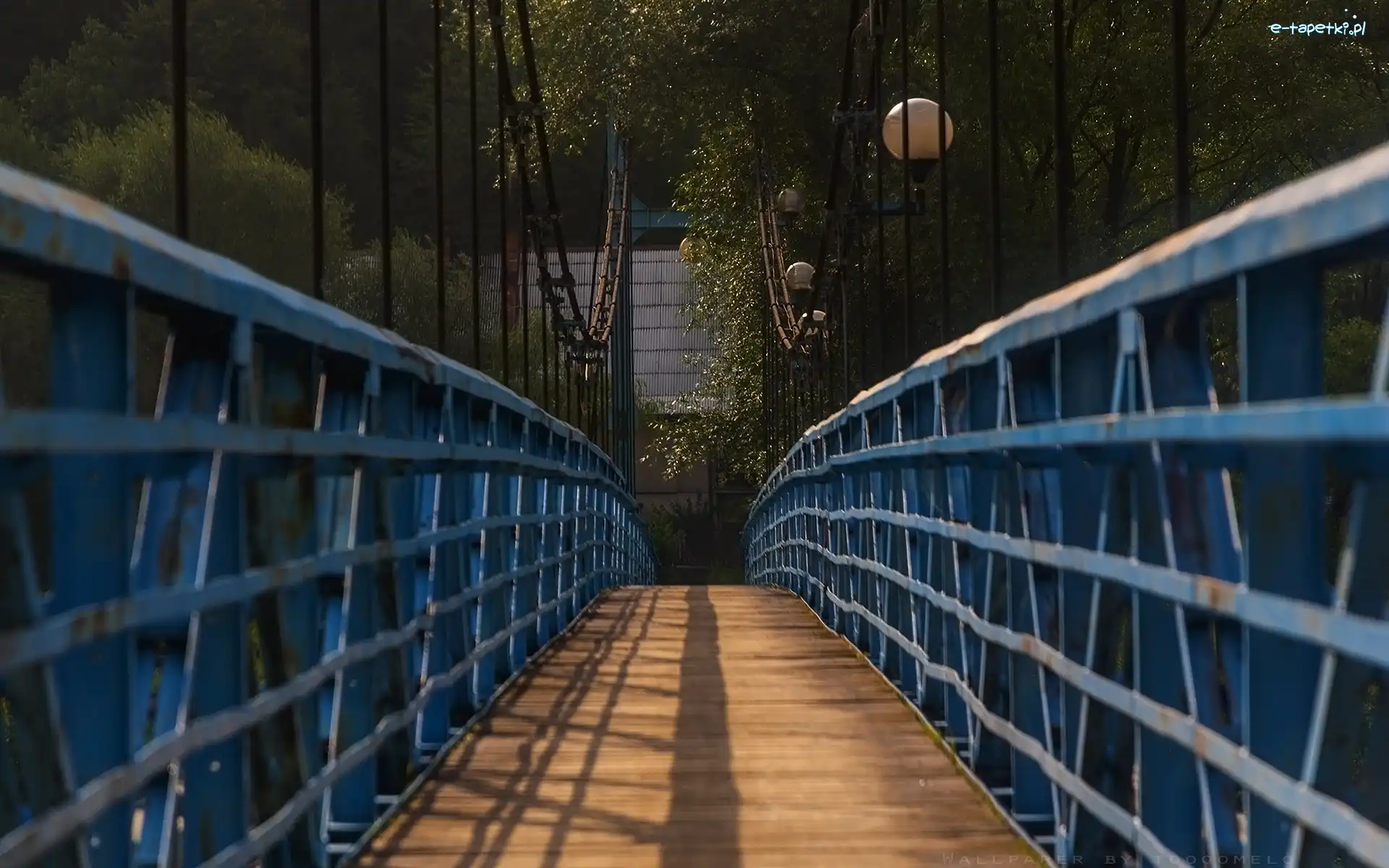 Kładka dla pieszych, Perspektywa, Balustrady, Most linowy