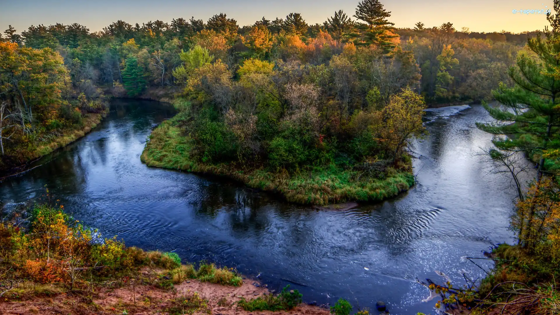 Rzeka, Drzewa, Las, Jesień
