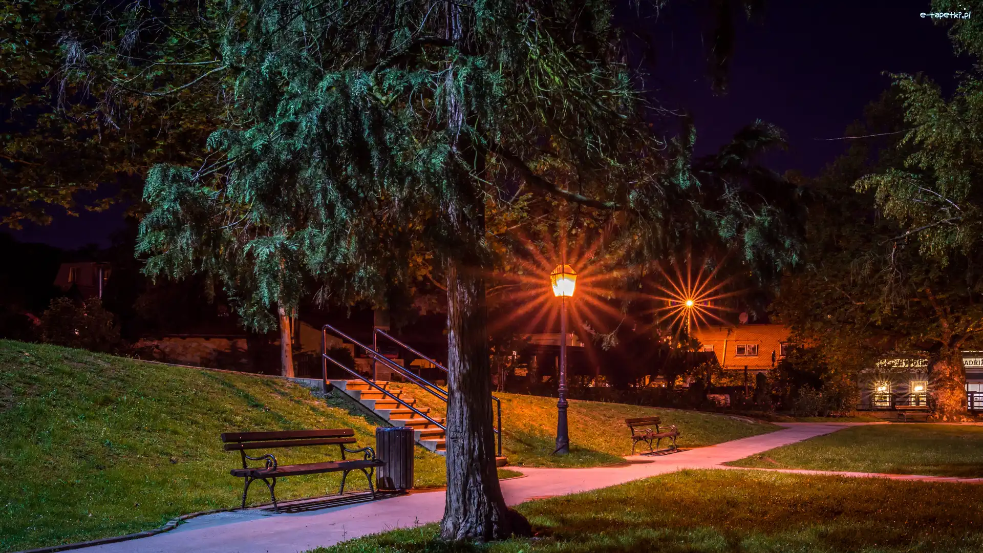 Park, Latarnie, Noc, Ławki, Drzewa