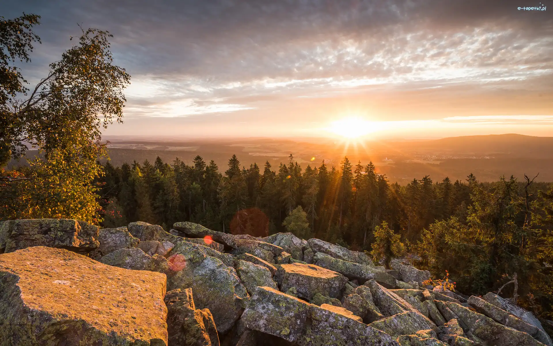 Wschód słońca, Drzewa, Kamienie, Las